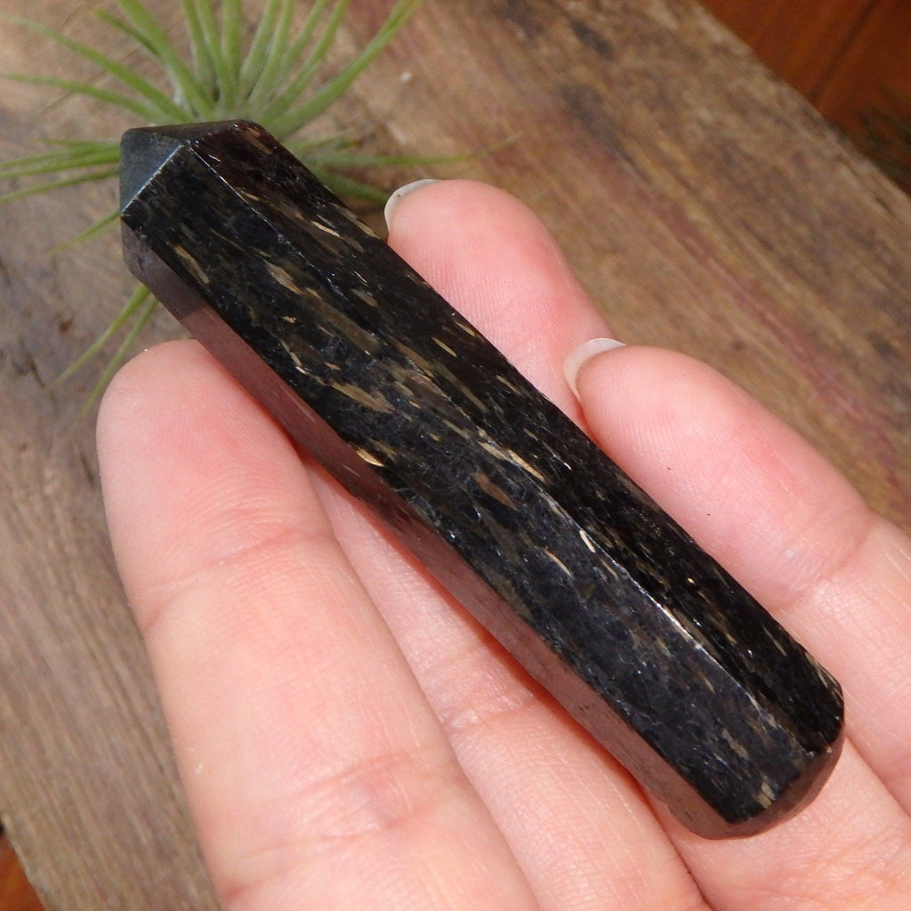 Genuine Greenland Nuummite With Lightening Flashes of Mysterious Color Wand Carving 3 - Earth Family Crystals