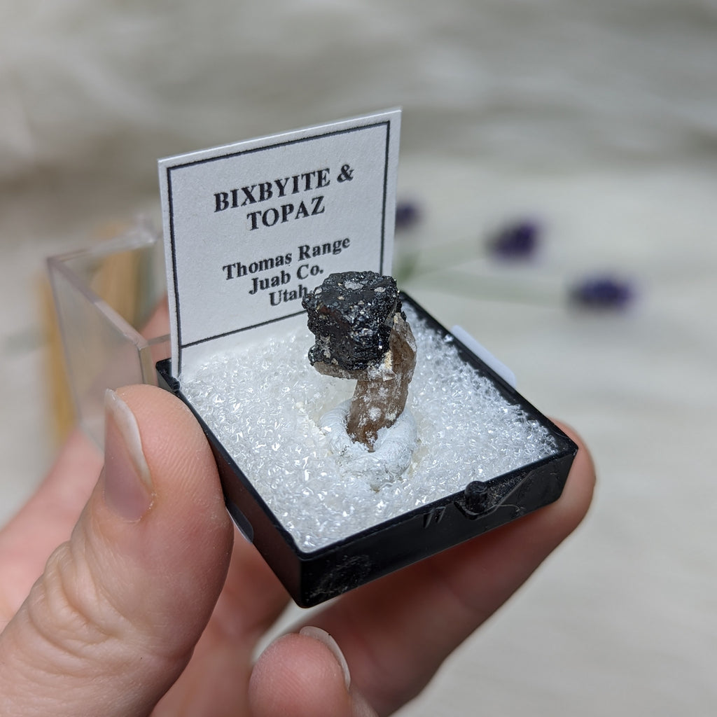 Amazing Golden Topaz & Bixbyite In Collectors Box - Earth Family Crystals