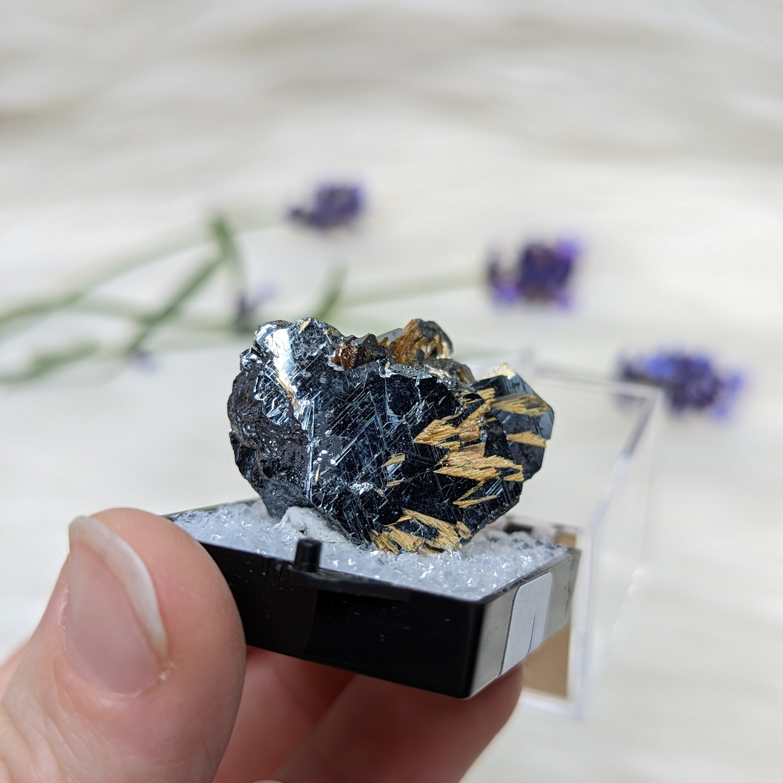 Rare Golden Rutile & Hematite Collectors Specimen ~Locality: Novo Horizonte, Bahia, Brazil - Earth Family Crystals