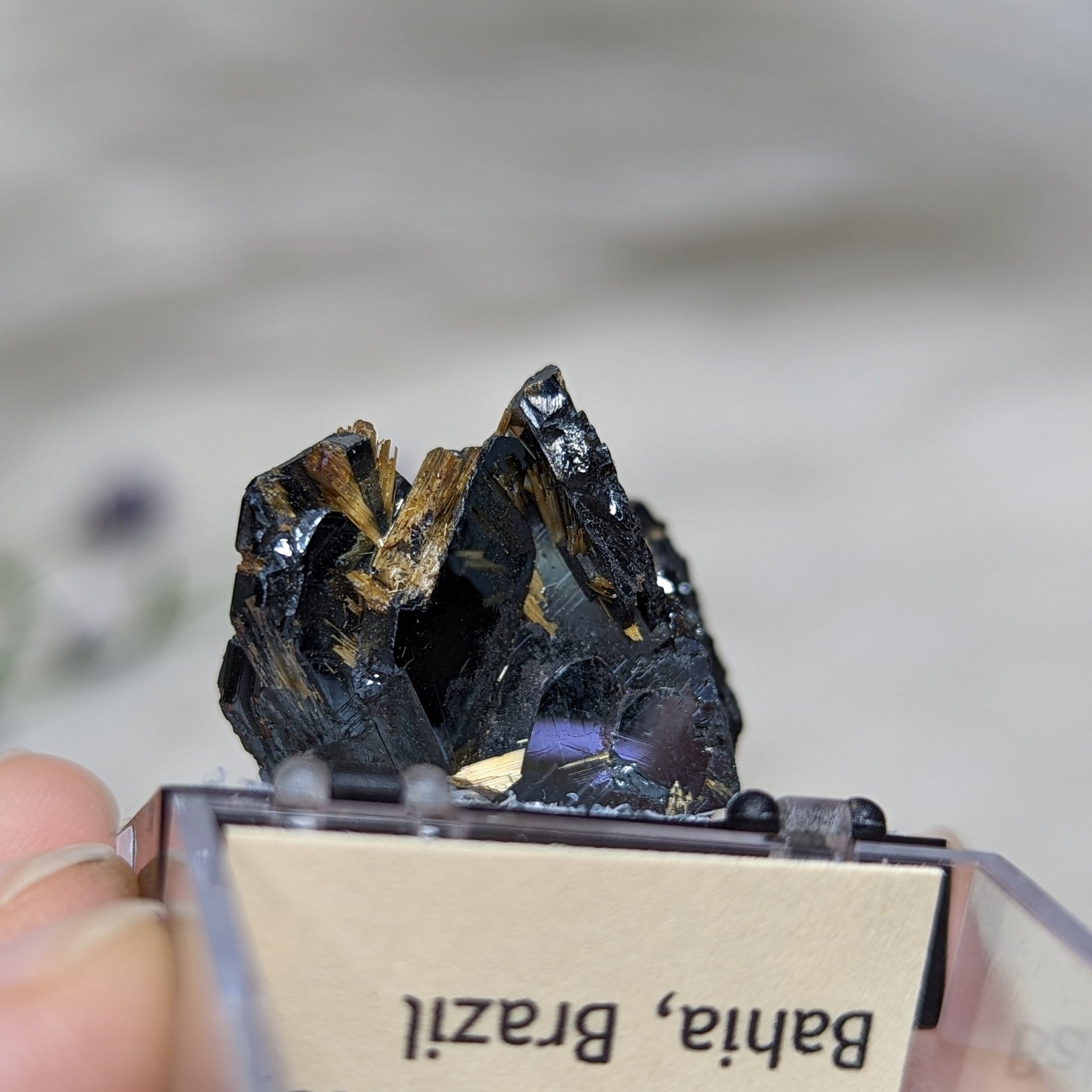 Rare Golden Rutile & Hematite Collectors Specimen ~Locality: Novo Horizonte, Bahia, Brazil - Earth Family Crystals