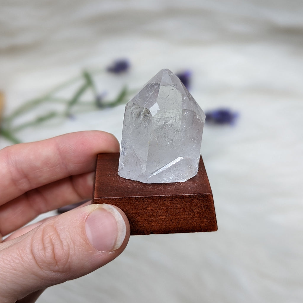 Clear Quartz Standing Display Point on Wood Mount - Earth Family Crystals