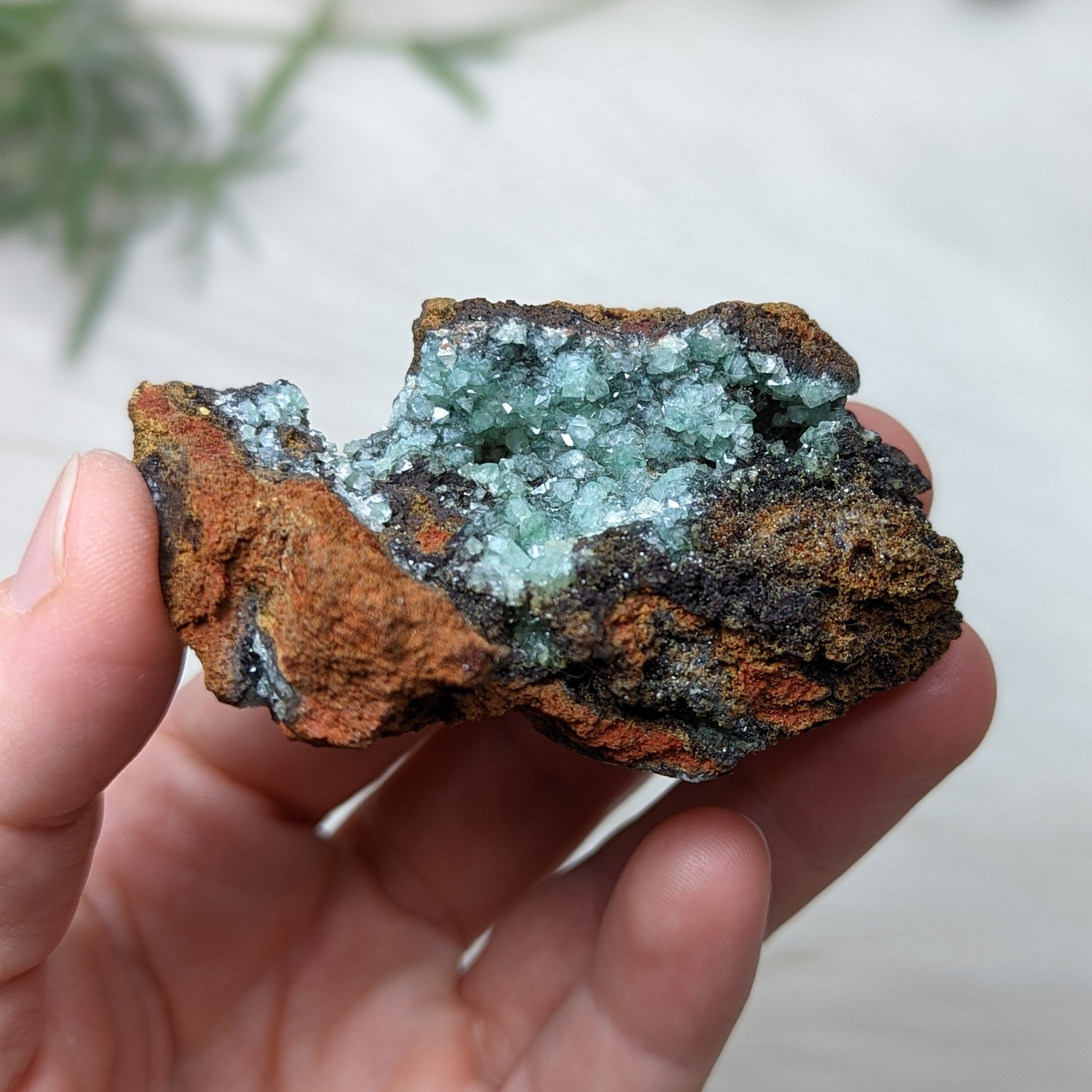 UNIQUE FIND sparkling Adamite with Calcite Specimen - Earth Family Crystals