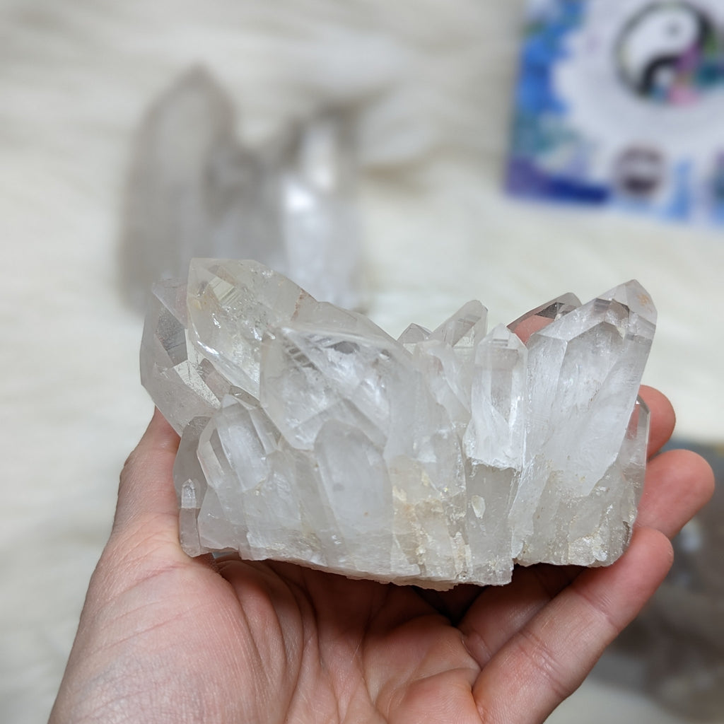 Clear Quartz Cluster~ Beautiful Display Specimen - Earth Family Crystals