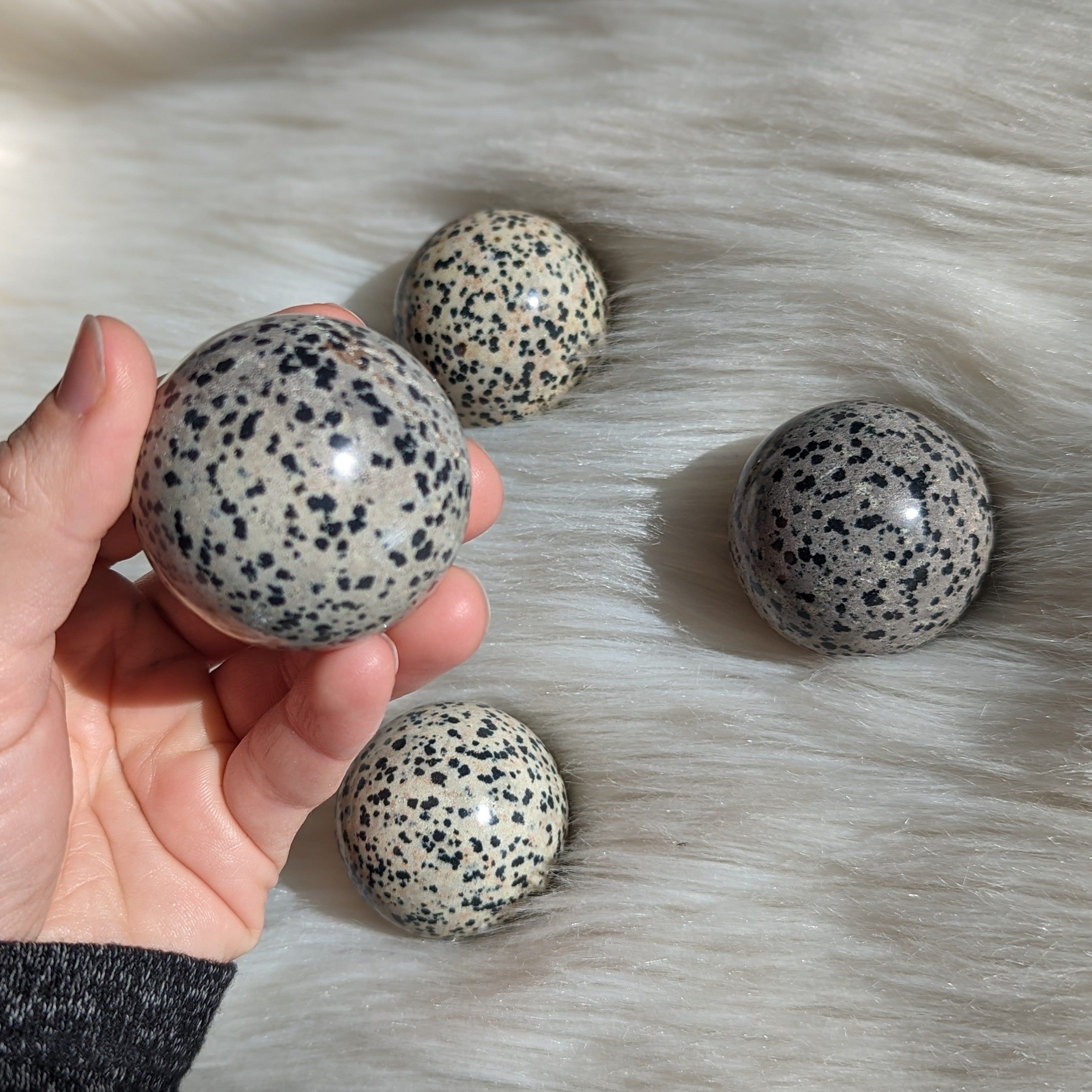 One Dalmatian Jasper Sphere Carving - Earth Family Crystals