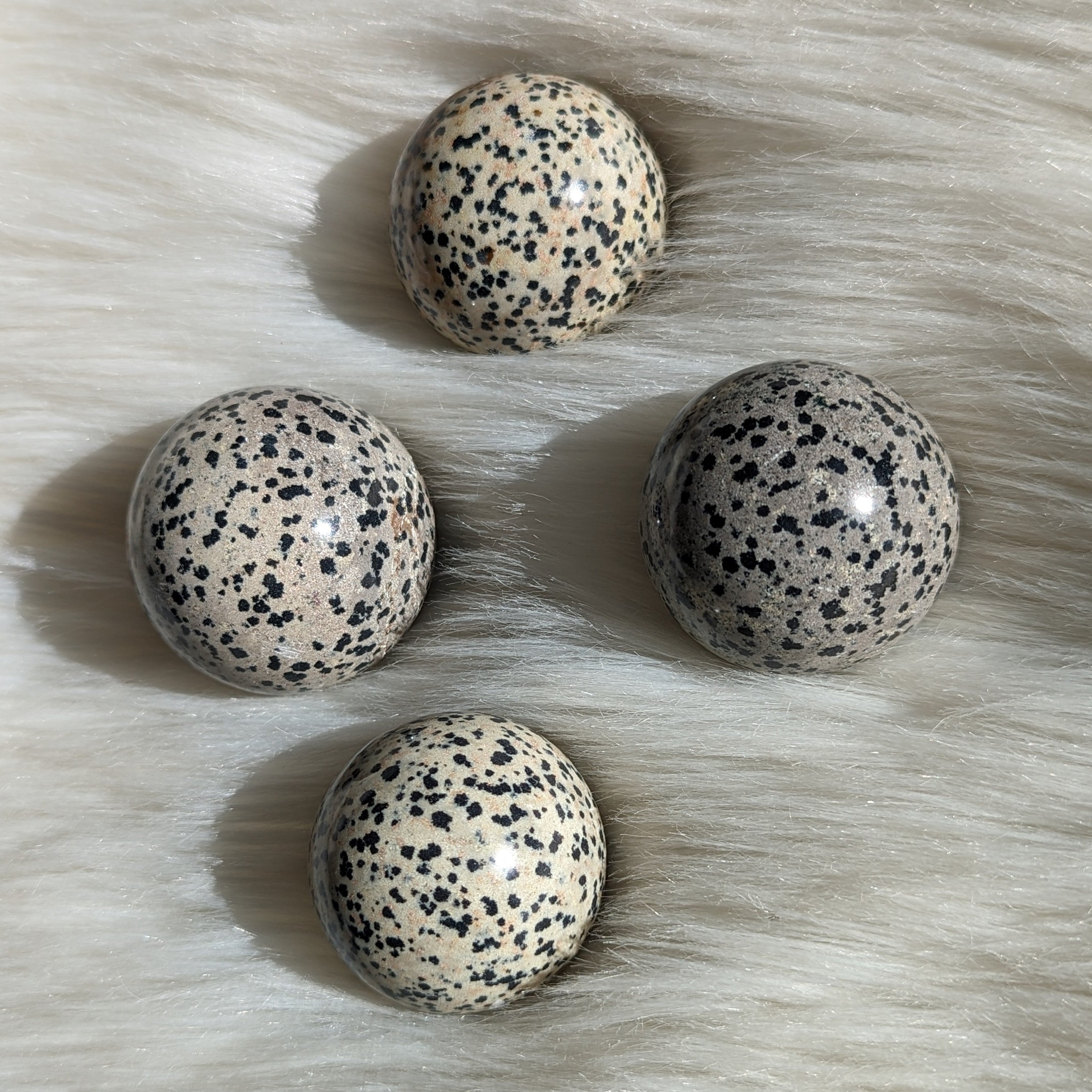 One Dalmatian Jasper Sphere Carving - Earth Family Crystals