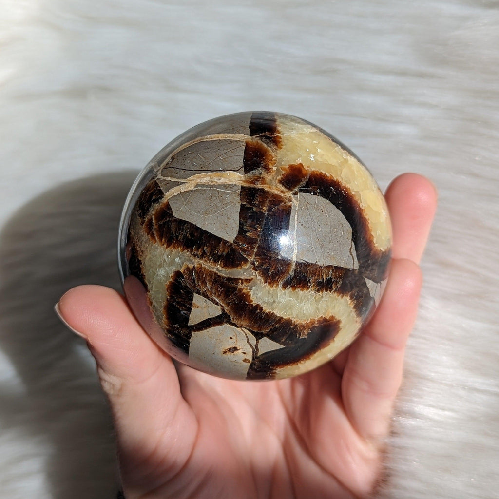 Historic Vibes ~ Large Septarian Gemstone Sphere - Earth Family Crystals