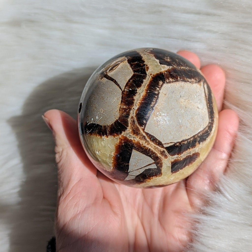 Historic Vibes ~ Large Septarian Gemstone Sphere - Earth Family Crystals