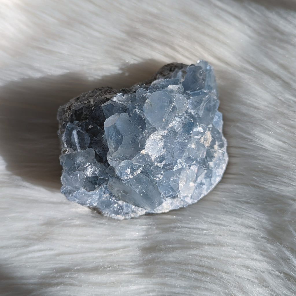 Sparkling Sweet BLUE CELESTITE Geode Cluster - Earth Family Crystals
