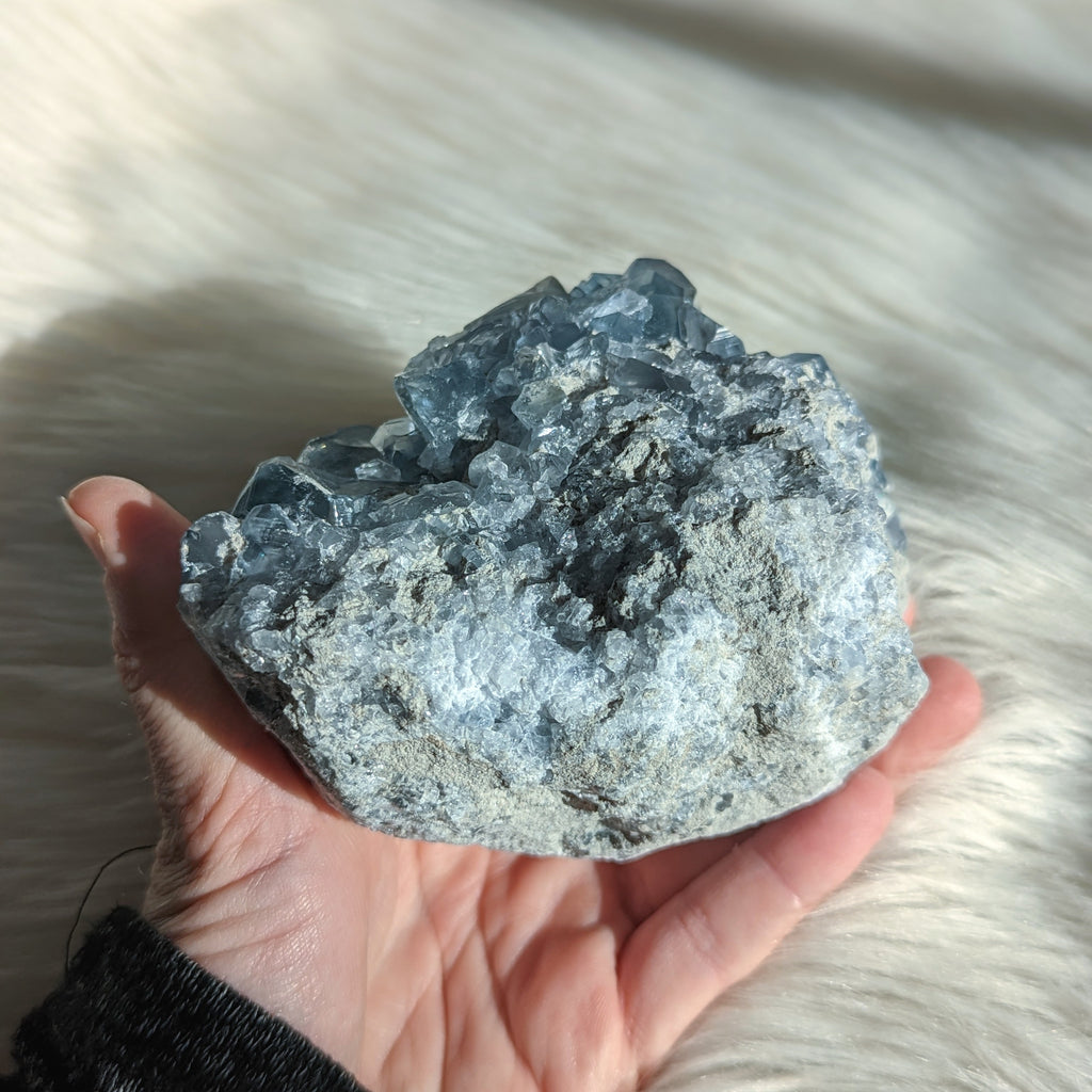 Sparkling Sweet BLUE CELESTITE Geode Cluster - Earth Family Crystals
