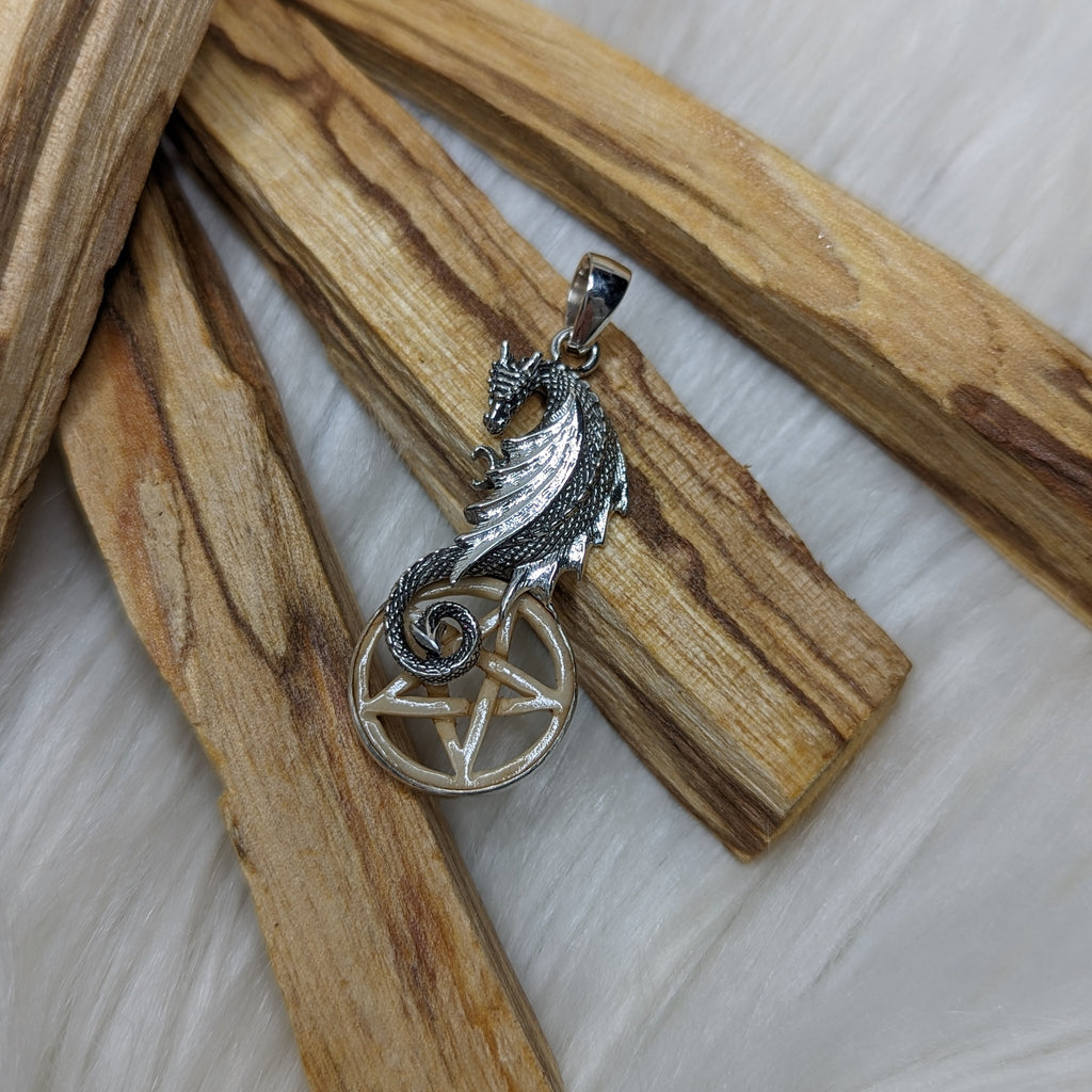 Dragon and Pentagram Pendant~ Bone Carving and Sterling Silver~ Includes Silver Chain - Earth Family Crystals
