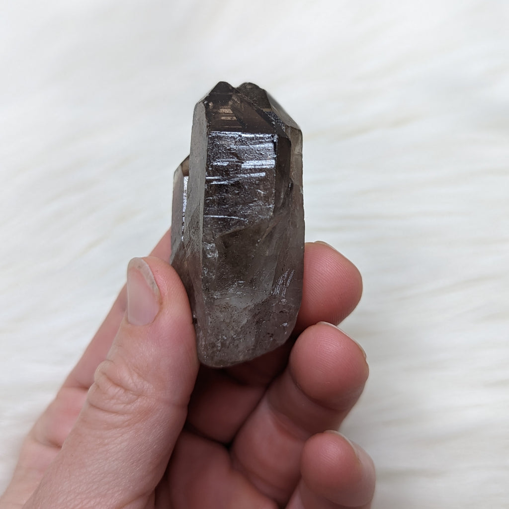 Adorable Smoky Quartz Point cluster of Three - Earth Family Crystals