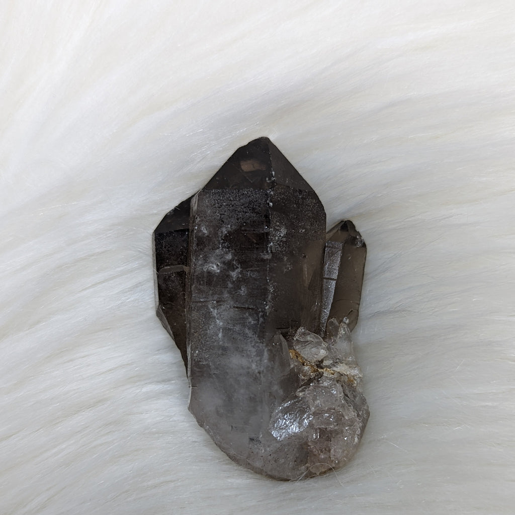Adorable Smoky Quartz Point cluster of Three - Earth Family Crystals