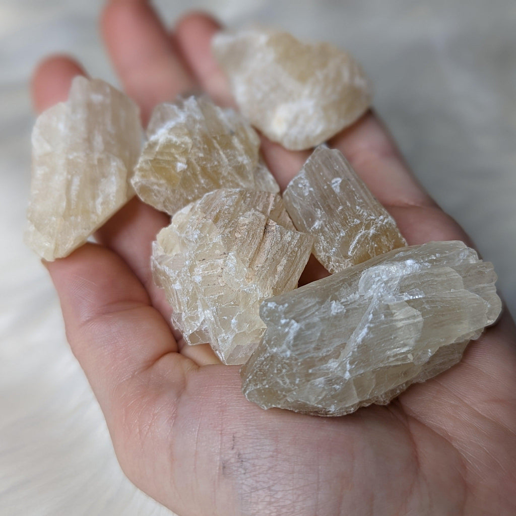 Golden Honey Calcite ~ Raw Set of 6 - Earth Family Crystals
