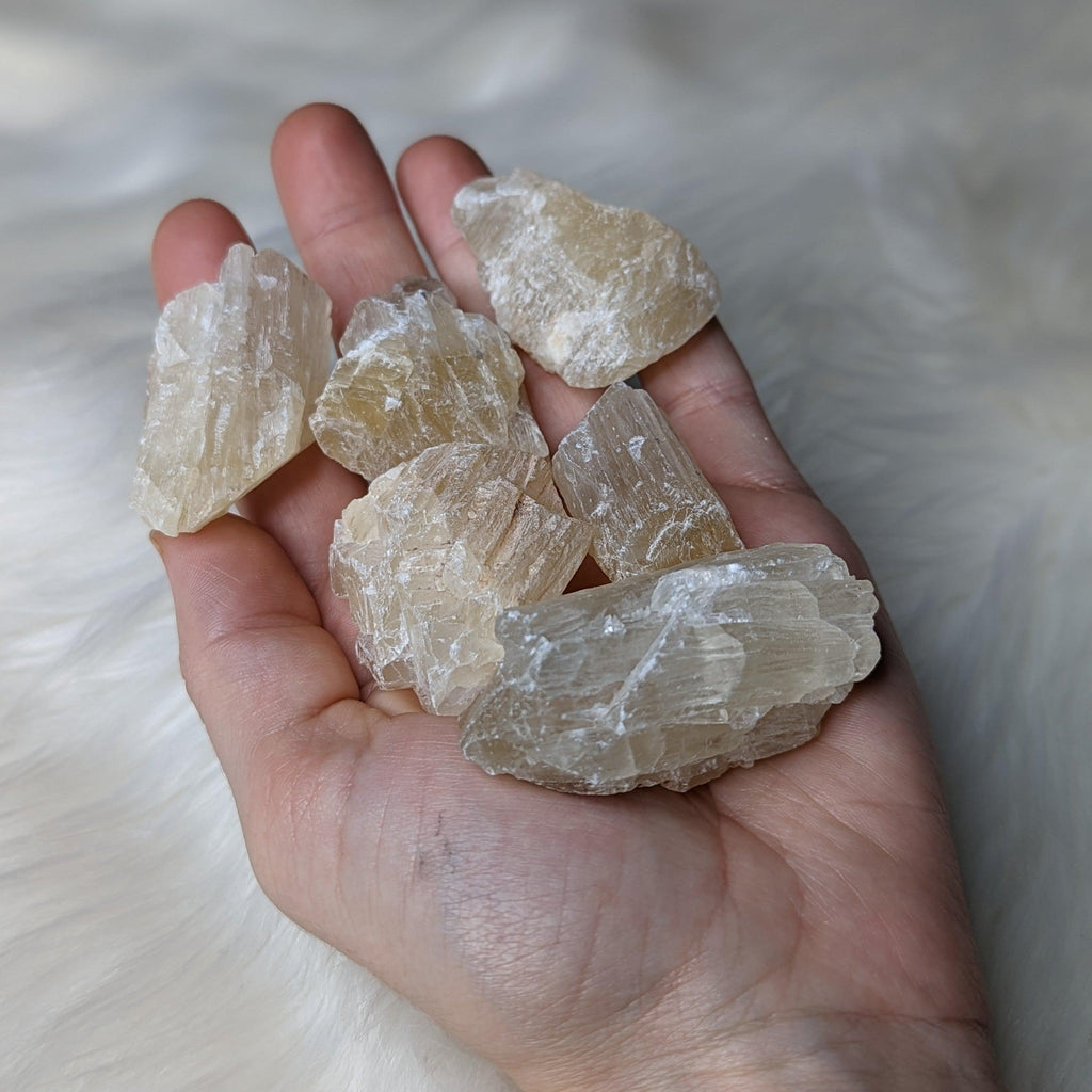 Golden Honey Calcite ~ Raw Set of 6 - Earth Family Crystals