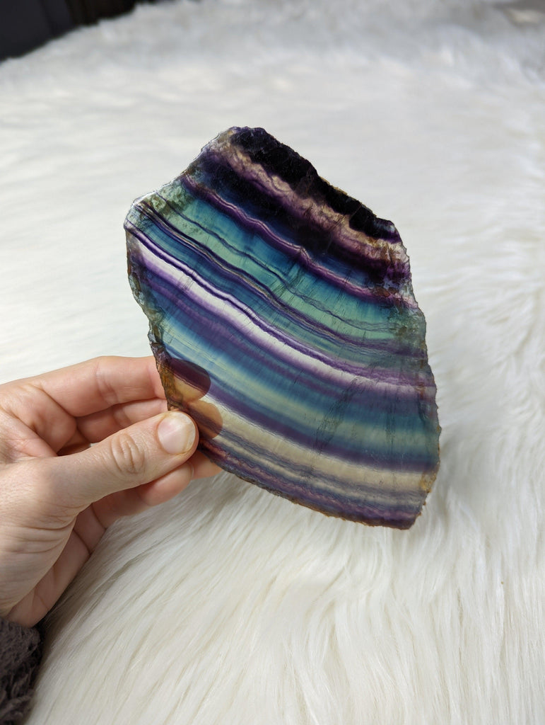 STUNNING Rainbow Flourite Slice #4~ Translucent and Vibrant! - Earth Family Crystals