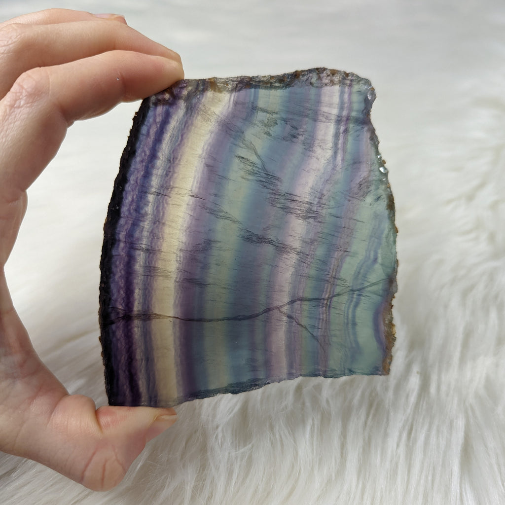 STUNNING Rainbow Flourite Slice #2~ Translucent and Vibrant! - Earth Family Crystals