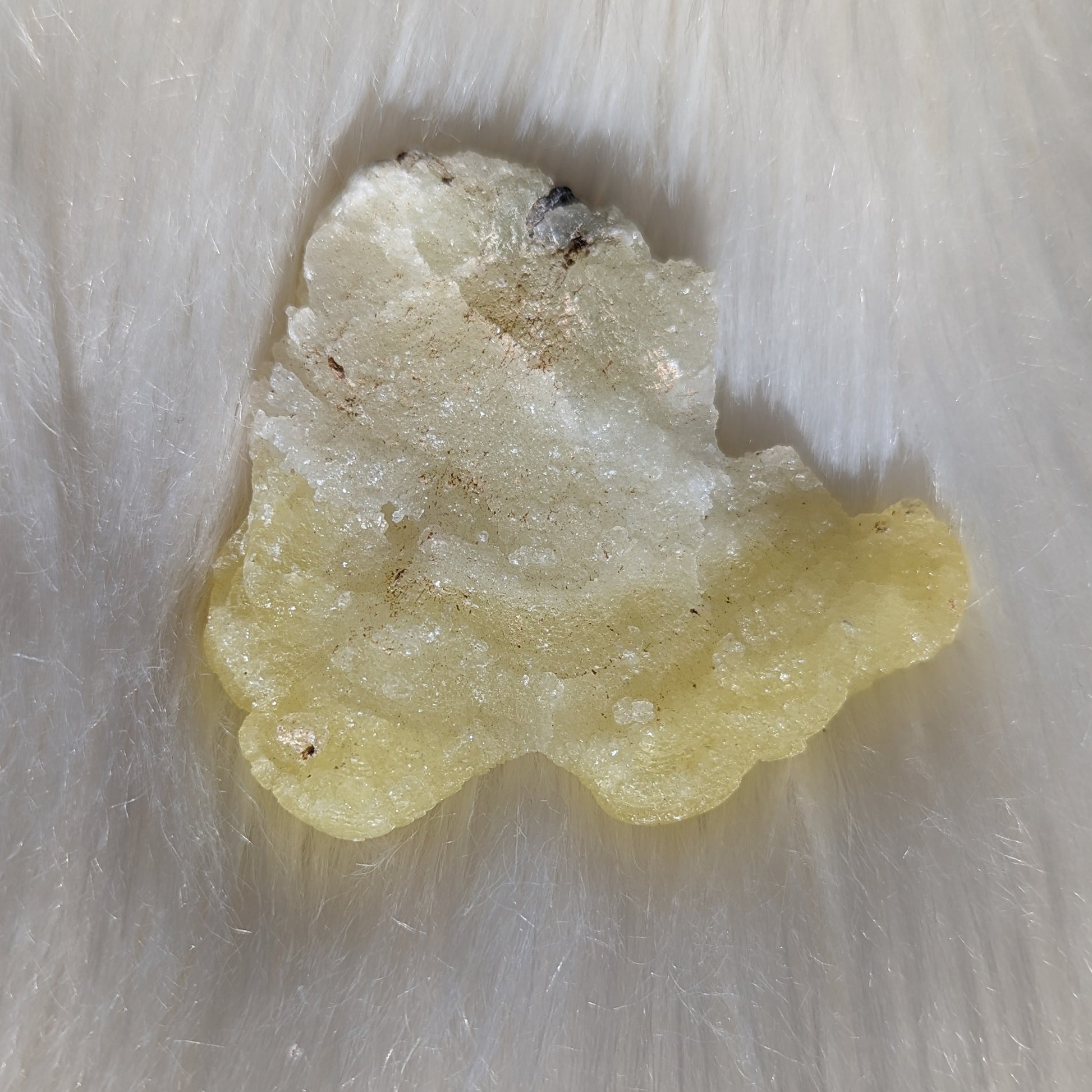 Vibrant Yellow Brucite Specimen #2 - Earth Family Crystals