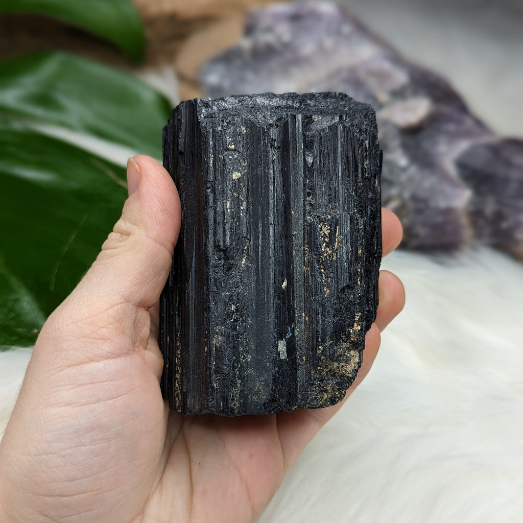 Chunky Black Tourmaline Natural Specimen ~ Large - Earth Family Crystals