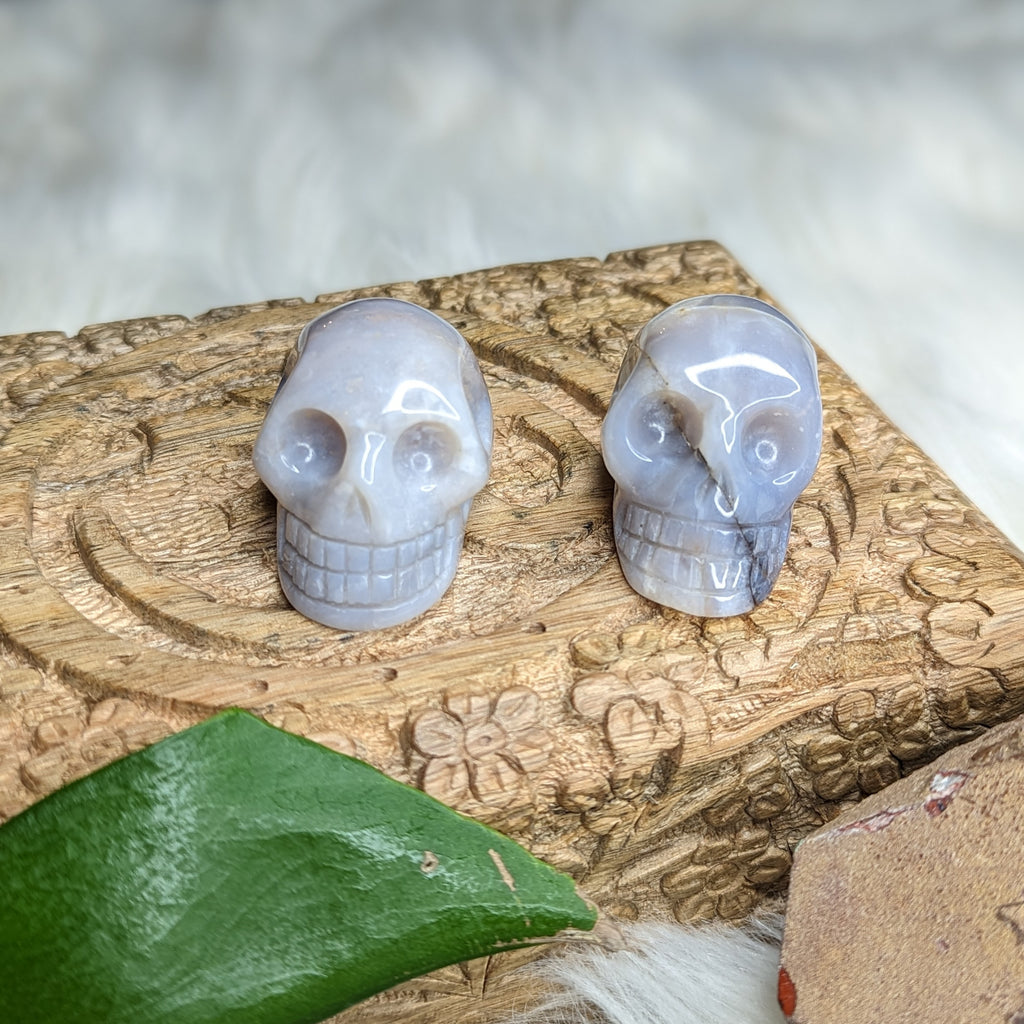 Natural Blue Lace Agate Skull Carving - Earth Family Crystals
