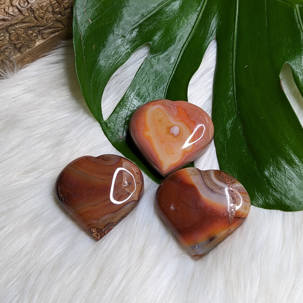 Red Carnelian Puffy Heart Carving #2~ beautifully unique - Earth Family Crystals