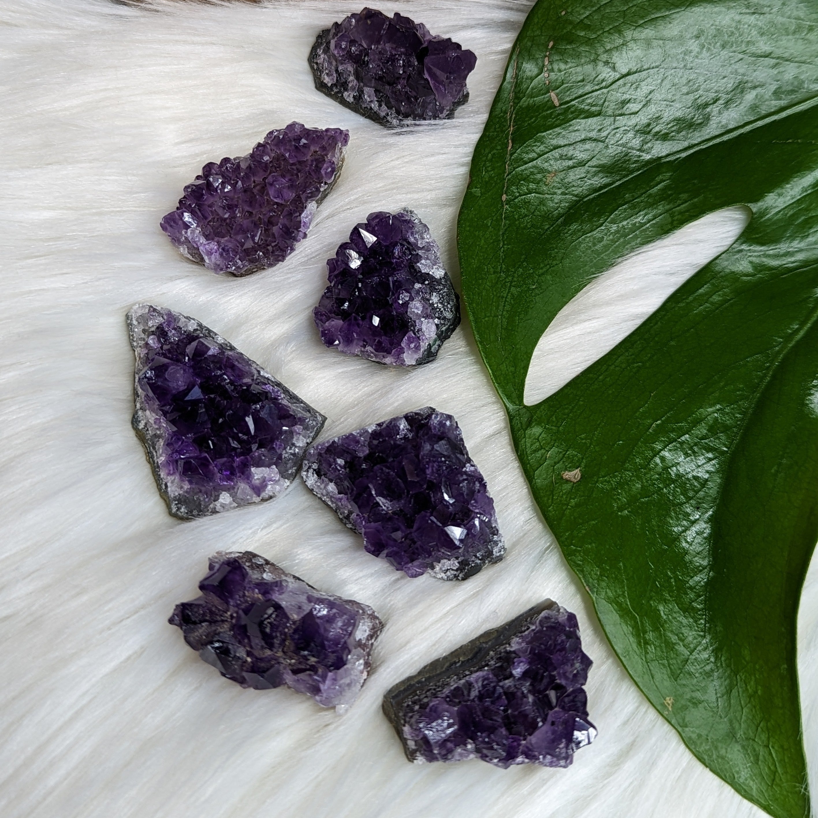 Gemmy Dark Purple Amethyst Druzy Chunks - Earth Family Crystals