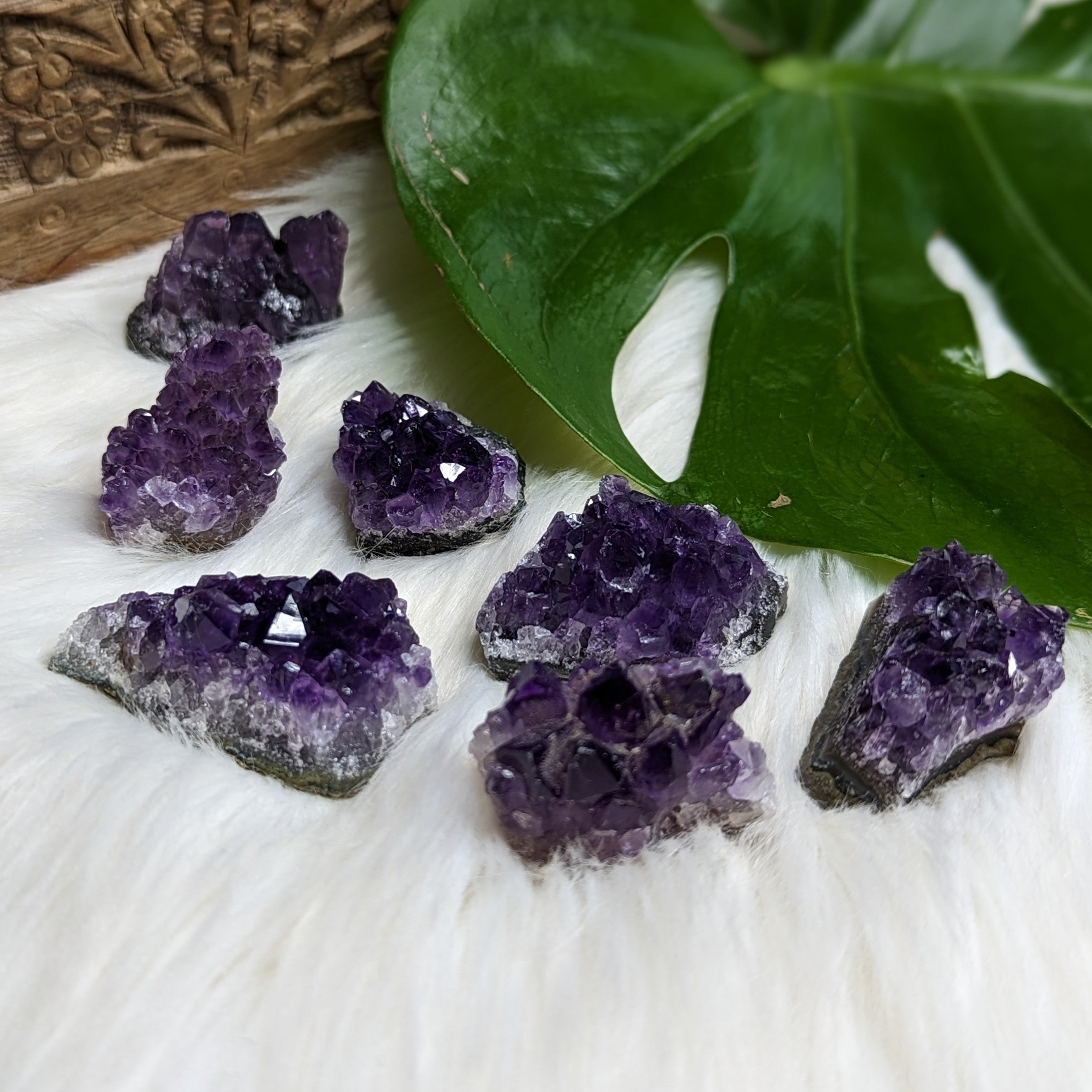 Gemmy Dark Purple Amethyst Druzy Chunks - Earth Family Crystals