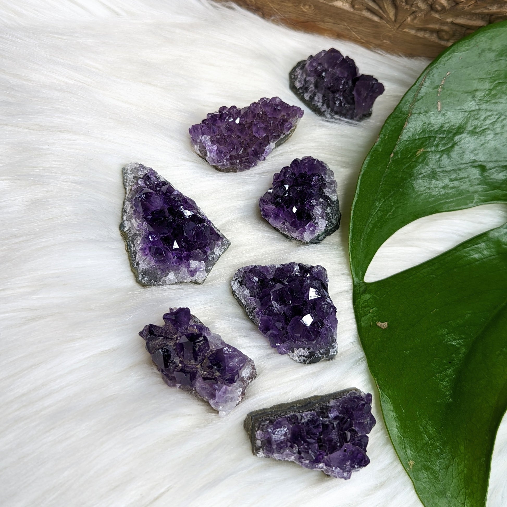Gemmy Dark Purple Amethyst Druzy Chunks - Earth Family Crystals