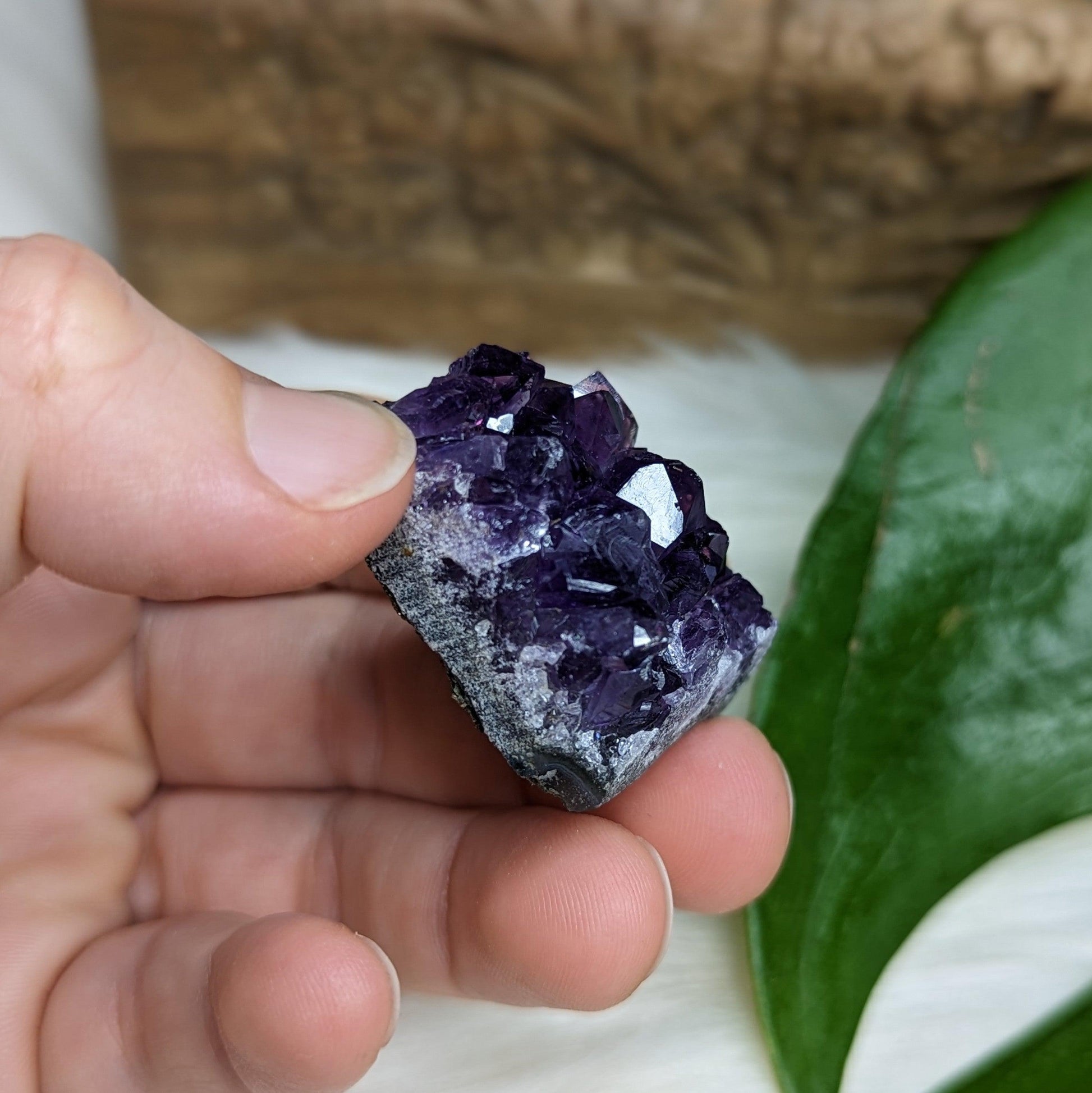 Gemmy Dark Purple Amethyst Druzy Chunks - Earth Family Crystals