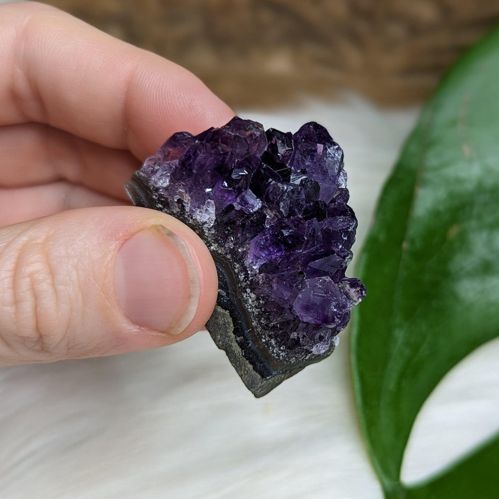 Gemmy Dark Purple Amethyst Druzy Chunks - Earth Family Crystals