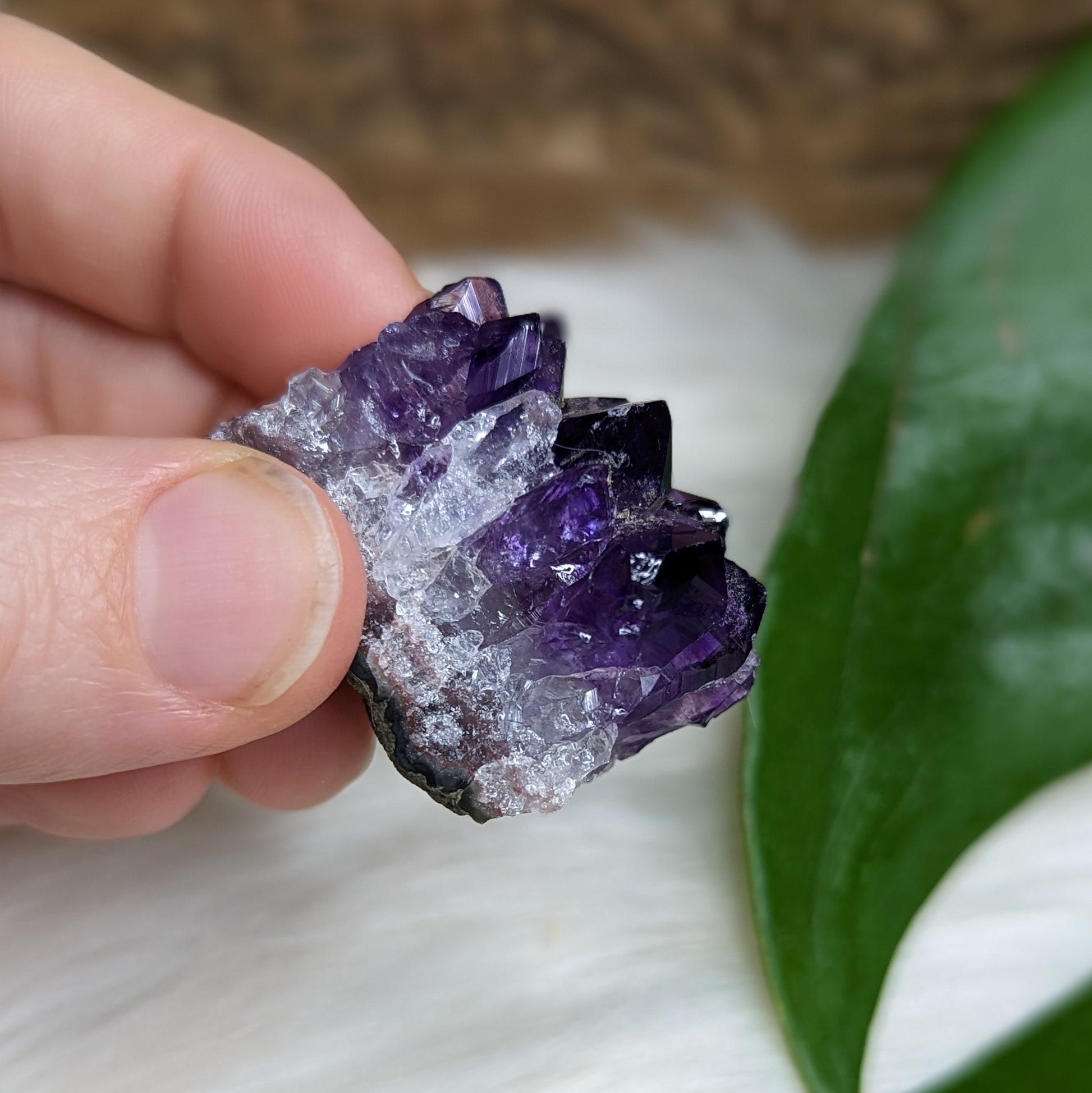 Gemmy Dark Purple Amethyst Druzy Chunks - Earth Family Crystals