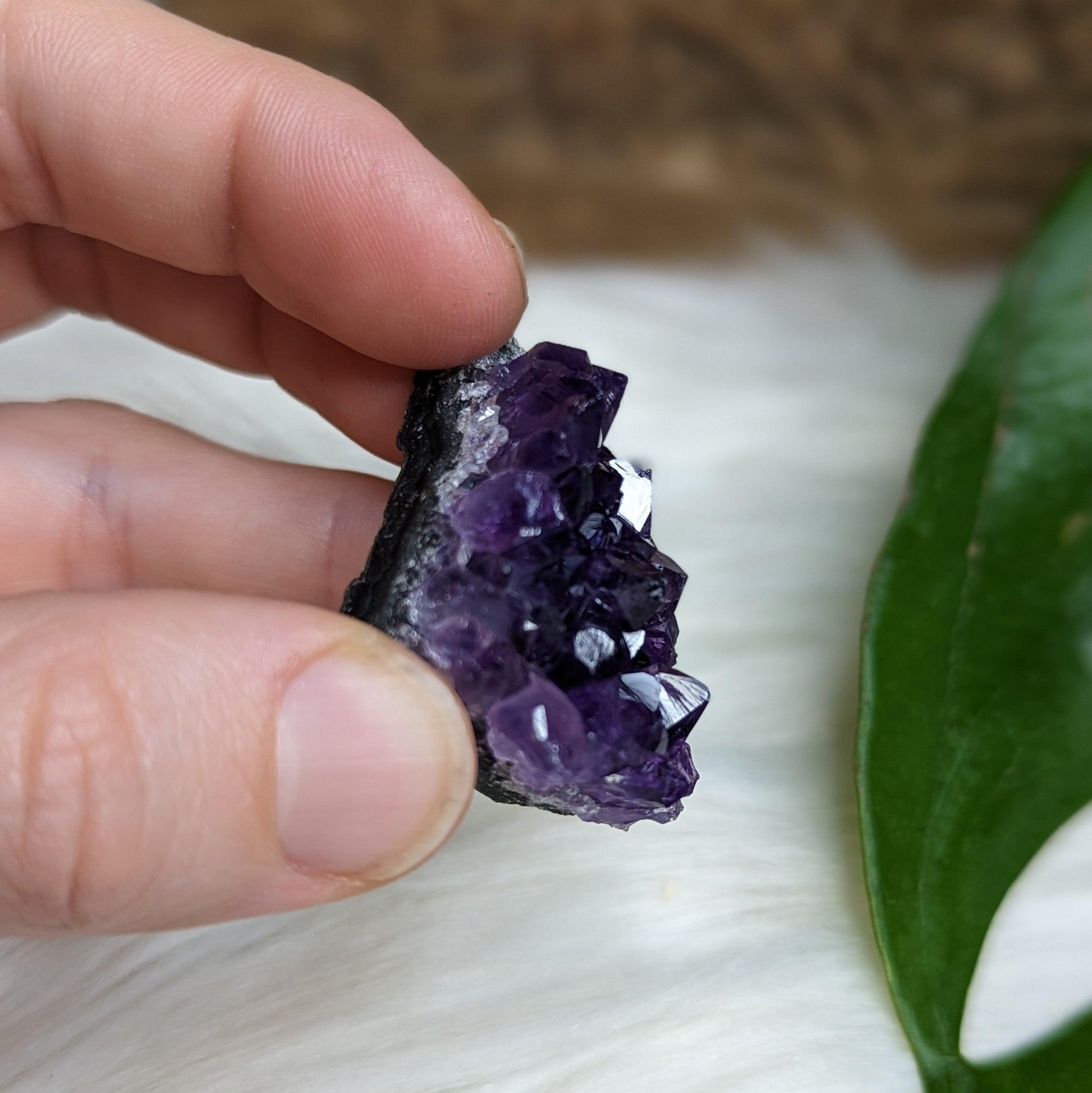 Gemmy Dark Purple Amethyst Druzy Chunks - Earth Family Crystals