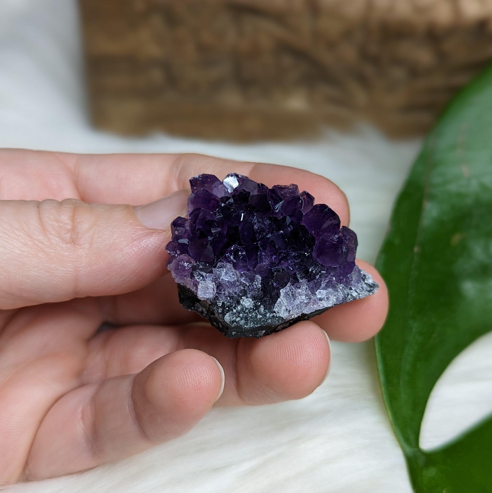 Gemmy Dark Purple Amethyst Druzy Chunks - Earth Family Crystals