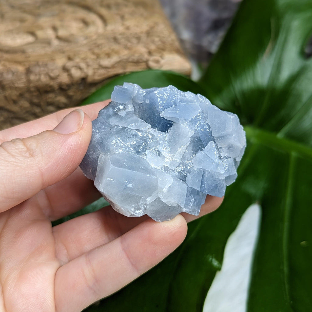 Small and Chunky Deep Blue Raw Calcite *FREE-FORM SPECIMEN FROM MEXICO - Earth Family Crystals