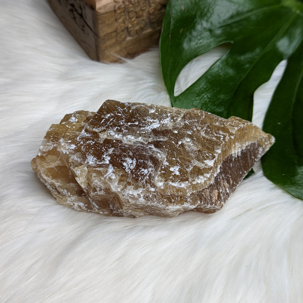 Honey Calcite from Mexico - Earth Family Crystals