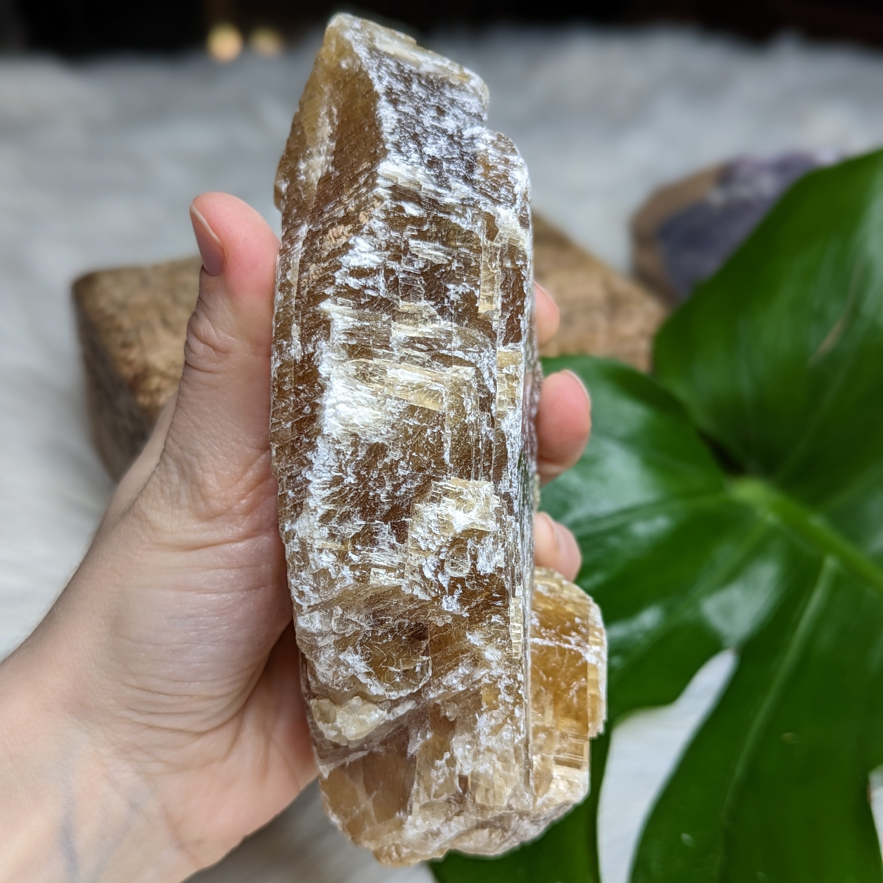 Honey Calcite from Mexico - Earth Family Crystals