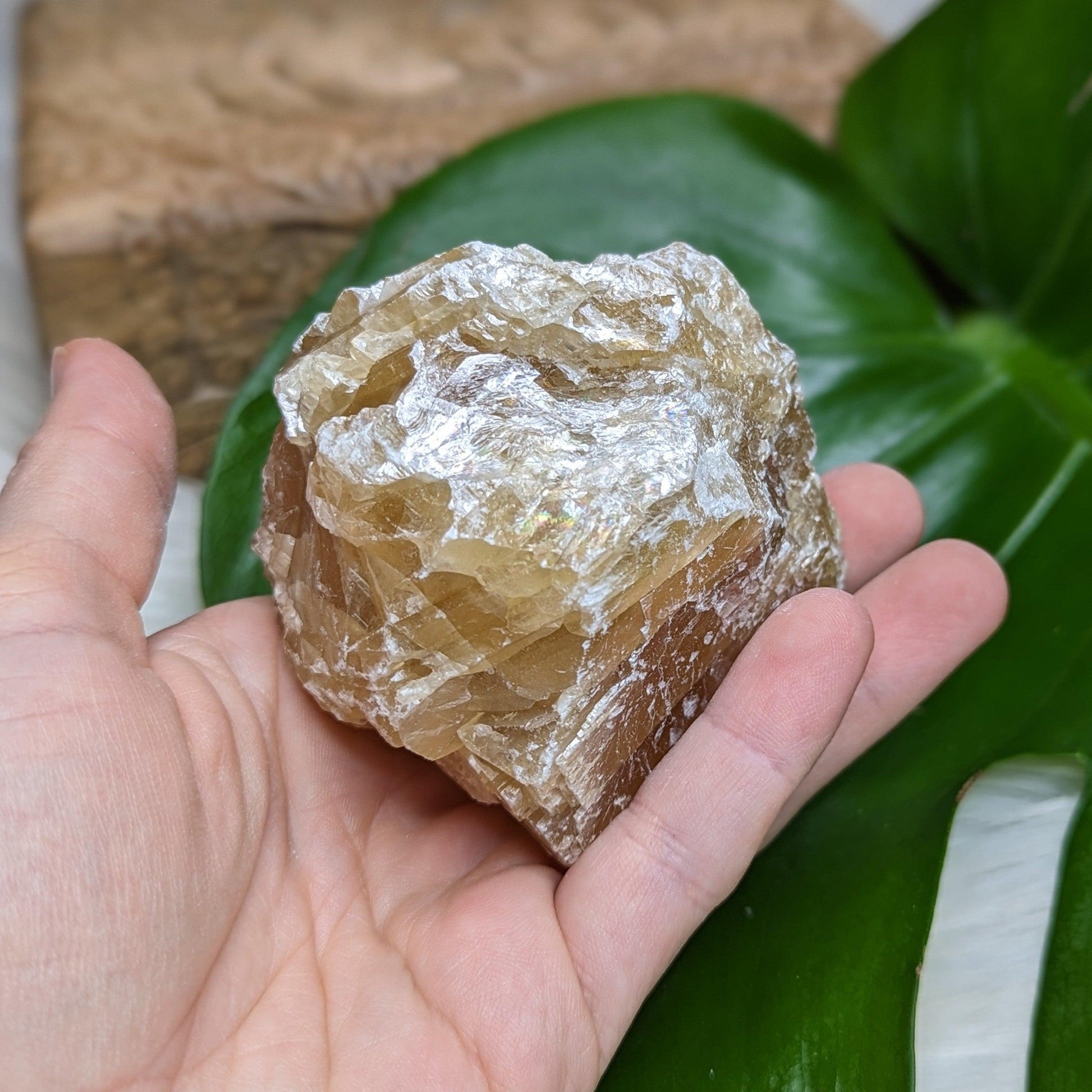 Chunky Honey Calcite Specimen from Mexico - Earth Family Crystals