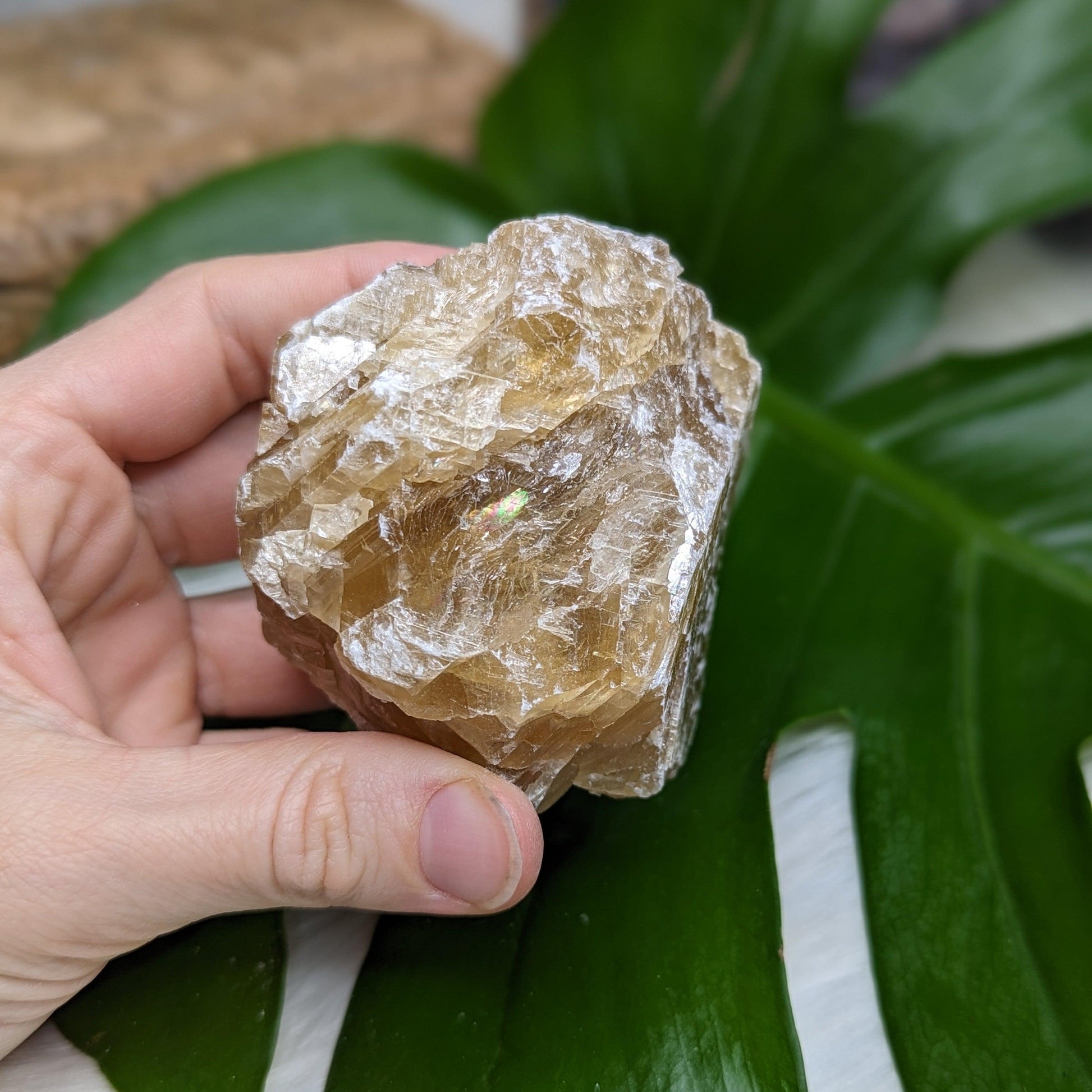 Chunky Honey Calcite Specimen from Mexico - Earth Family Crystals