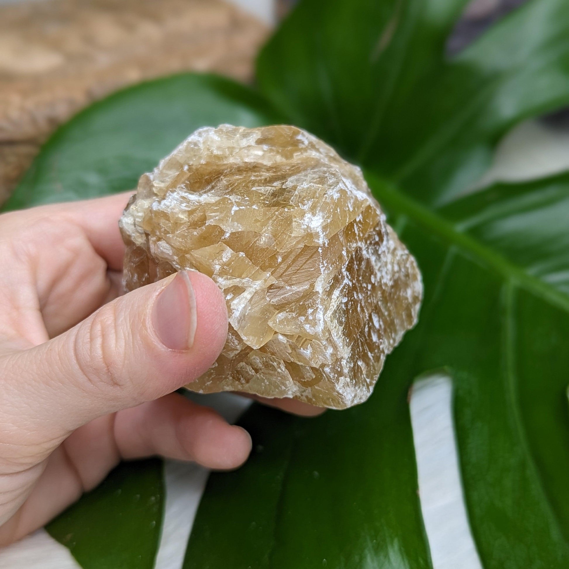Chunky Honey Calcite Specimen from Mexico - Earth Family Crystals