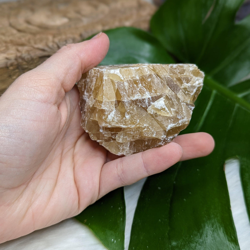 Gorgeous Honey Calcite Specimen from Mexico - Earth Family Crystals