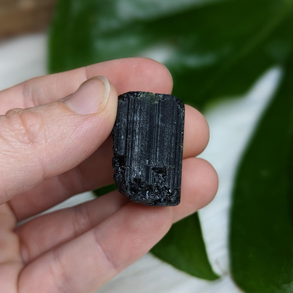 AA Black Tourmaline Natural Specimen~ Dazzling Protective Pocket Stone - Earth Family Crystals