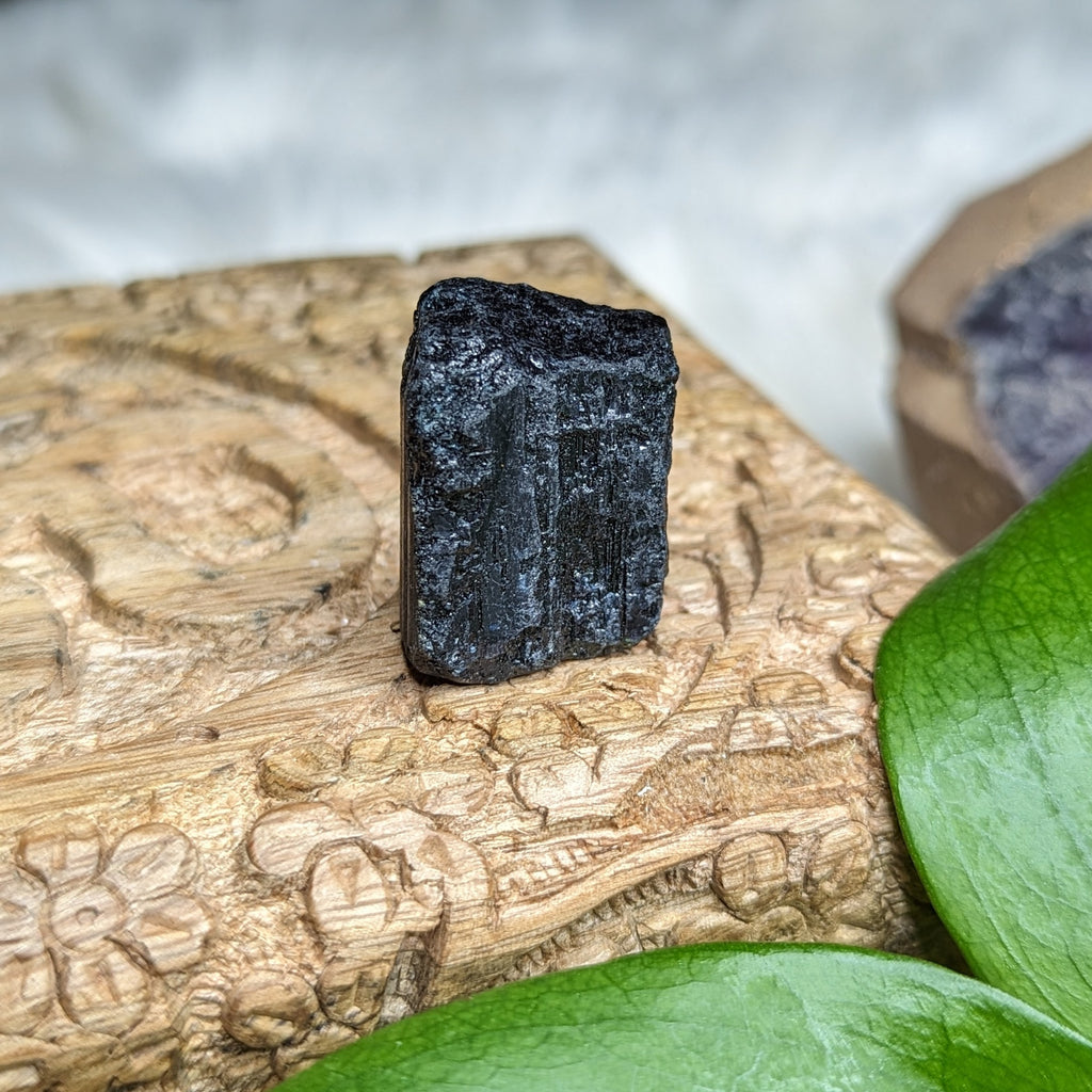 Gemmy AA Black Tourmaline Natural Specimen~ Dazzling Protective Pocket Stone - Earth Family Crystals