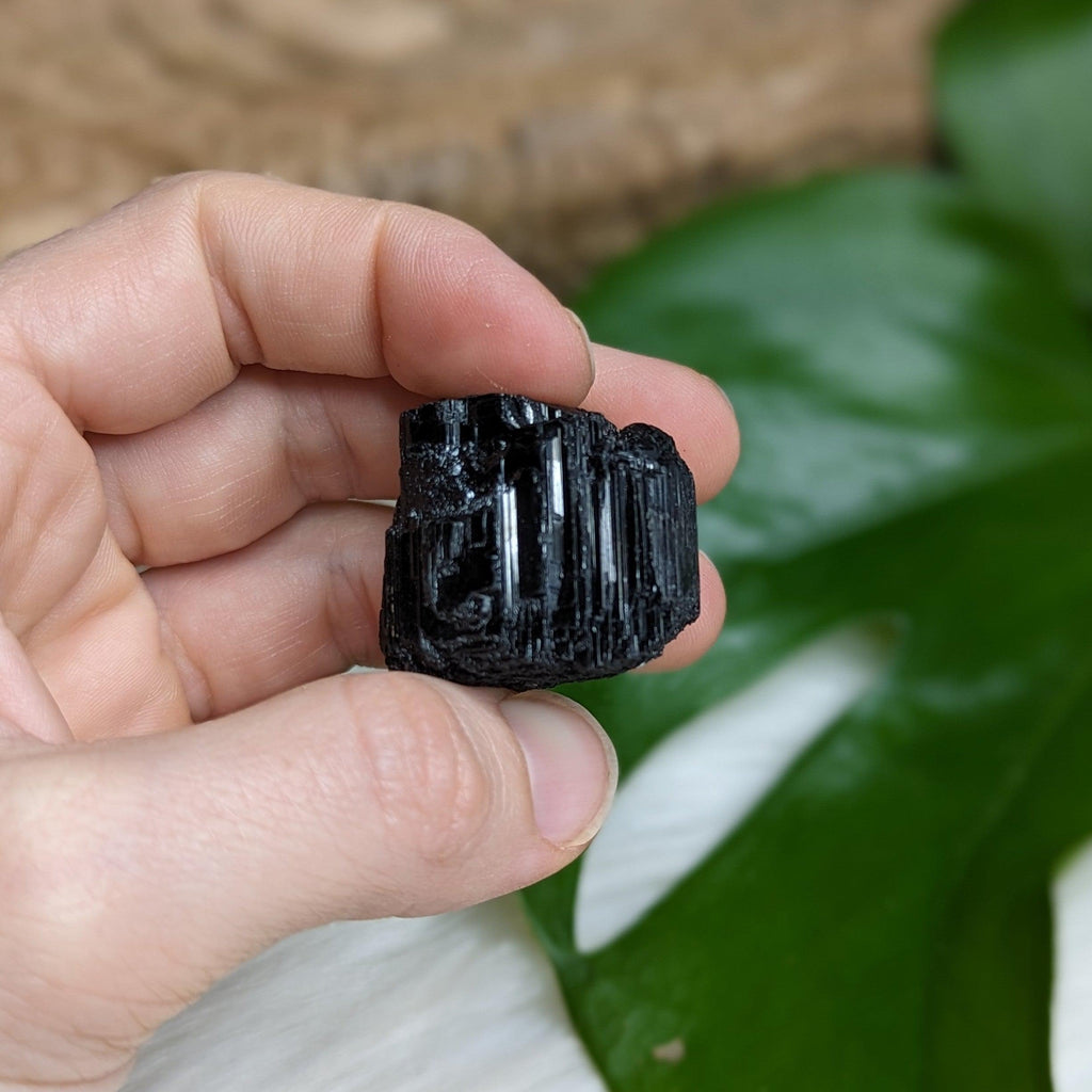 Gemmy AA Black Tourmaline Natural Specimen~ Dazzling Protective Pocket Stone - Earth Family Crystals
