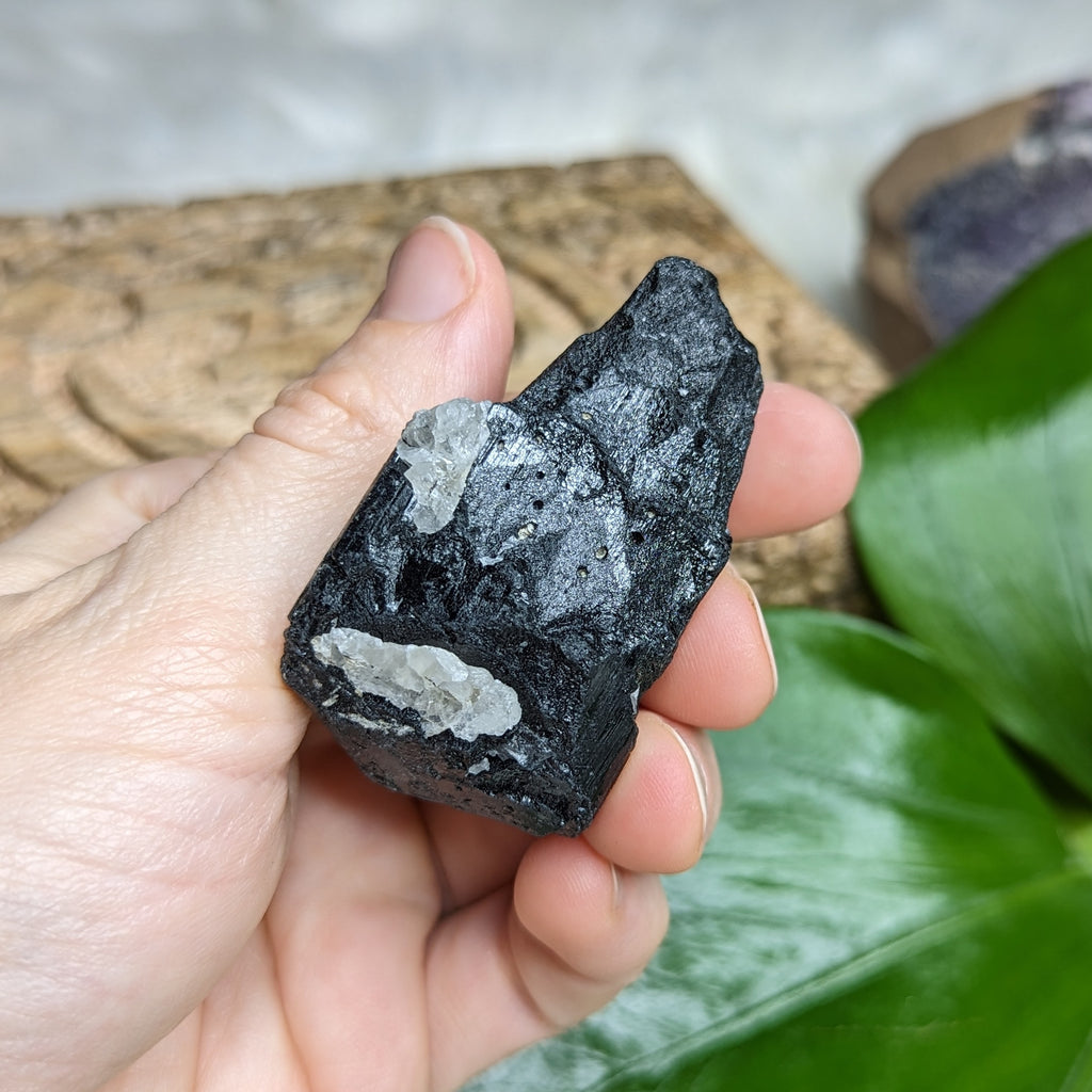 Chunky AA Black Tourmaline Natural Specimen~ Gemmy Protective Pocket Stone - Earth Family Crystals