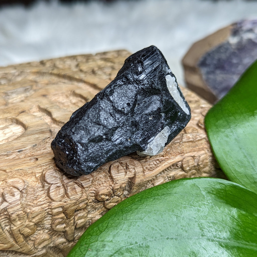 Chunky AA Black Tourmaline Natural Specimen~ Gemmy Protective Pocket Stone - Earth Family Crystals