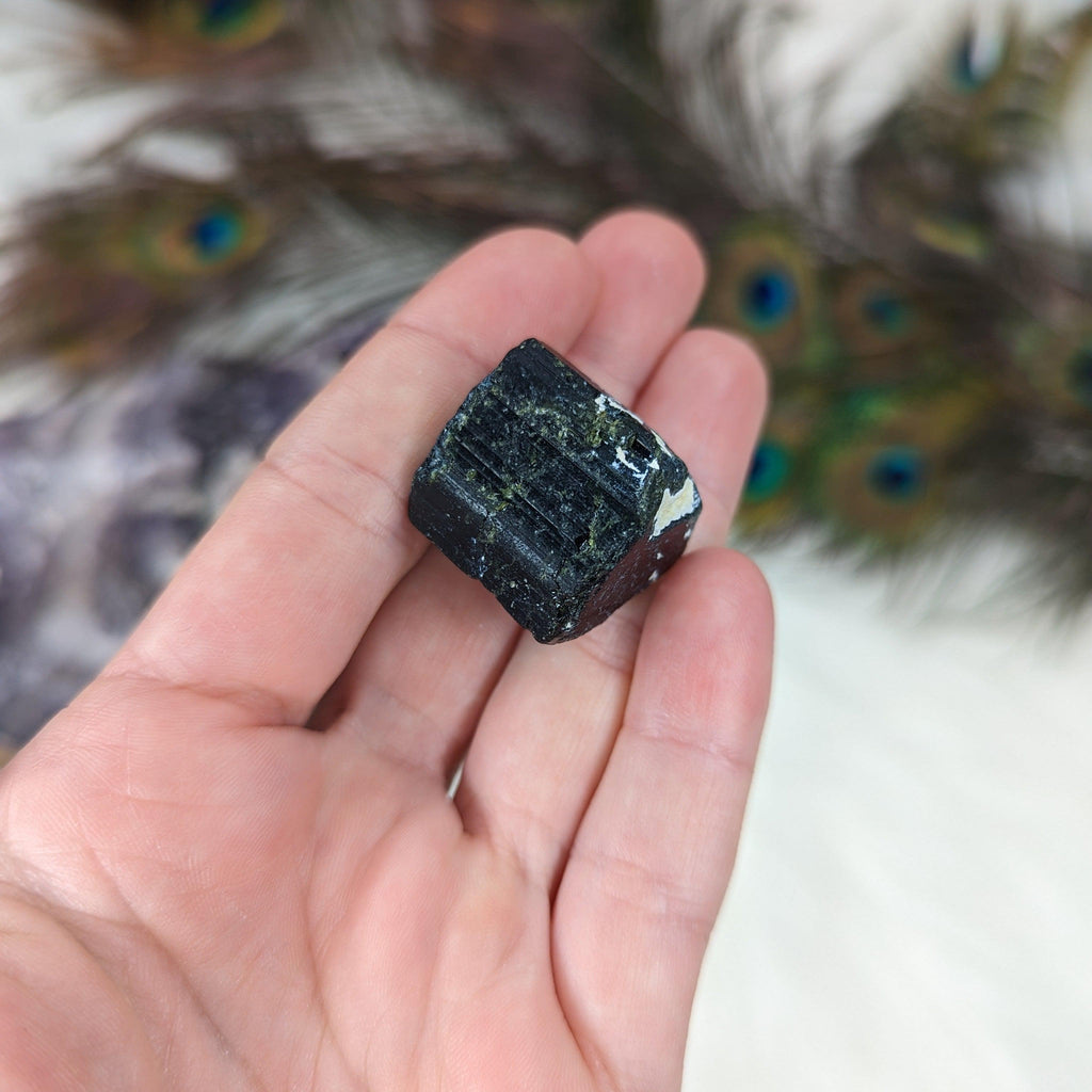 Black Tourmaline AA Gemmy Crystal Specimen - Earth Family Crystals