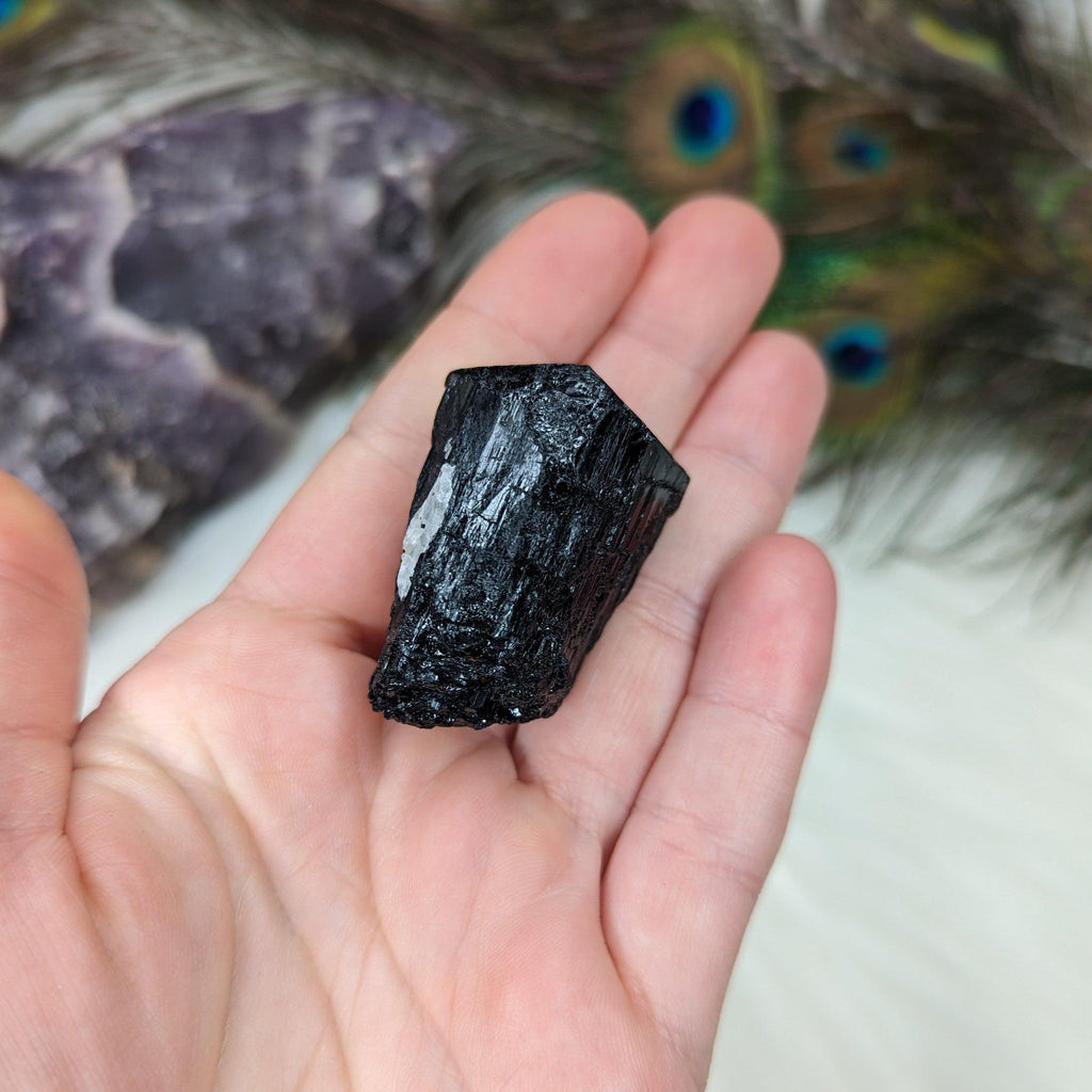 Black Tourmaline AA Gemmy Crystal Specimen - Earth Family Crystals