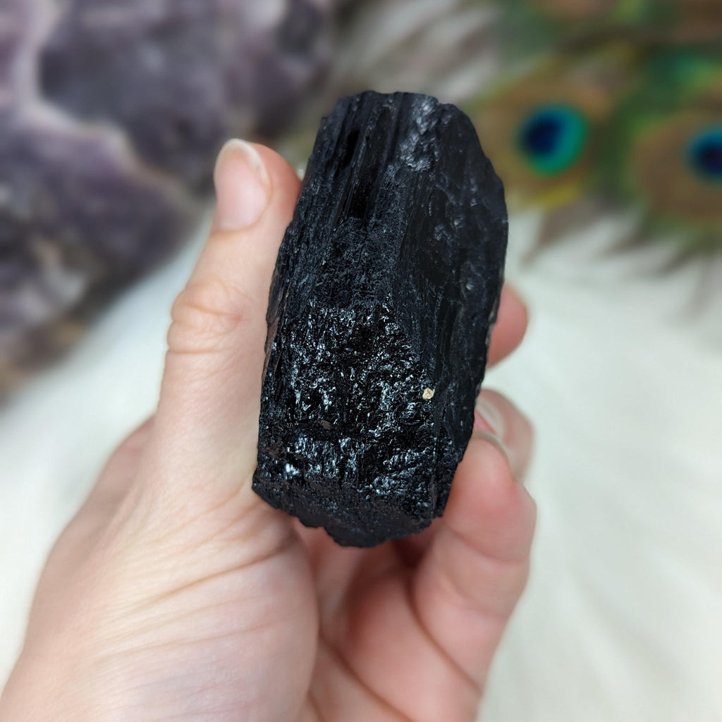 Black Tourmaline AA Gemmy Crystal Specimen - Earth Family Crystals