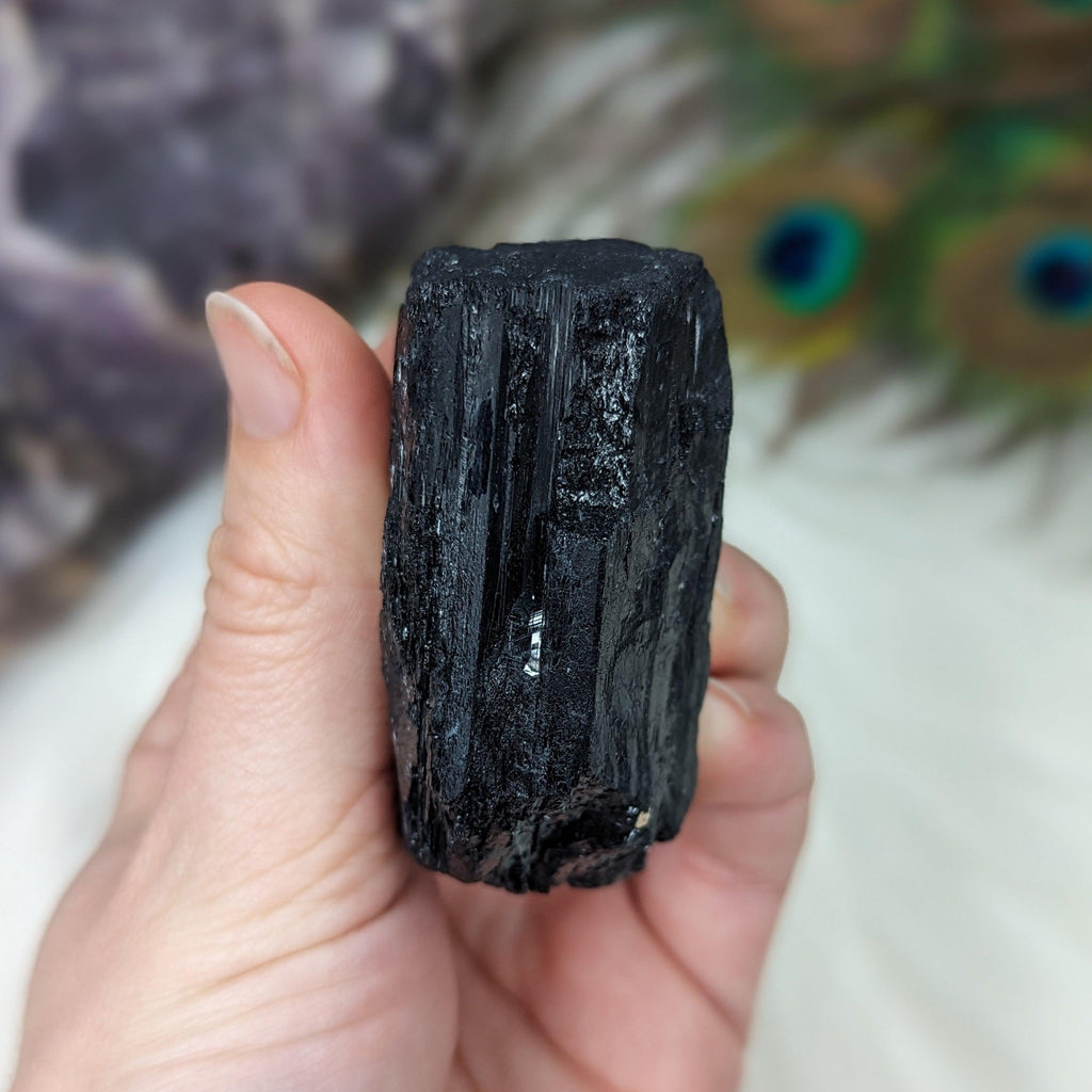 Black Tourmaline AA Gemmy Crystal Specimen - Earth Family Crystals