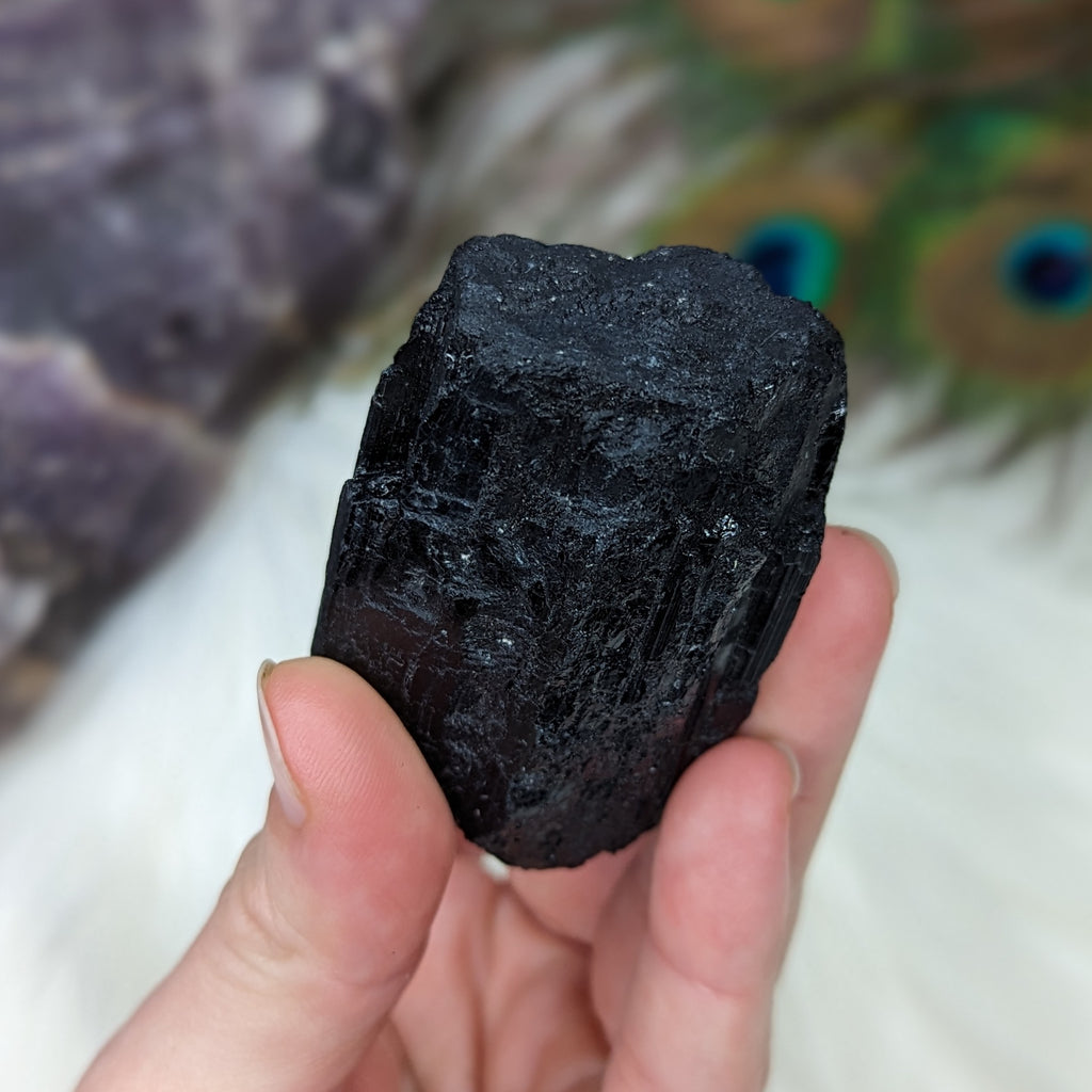 Black Tourmaline AA Gemmy Crystal Specimen - Earth Family Crystals