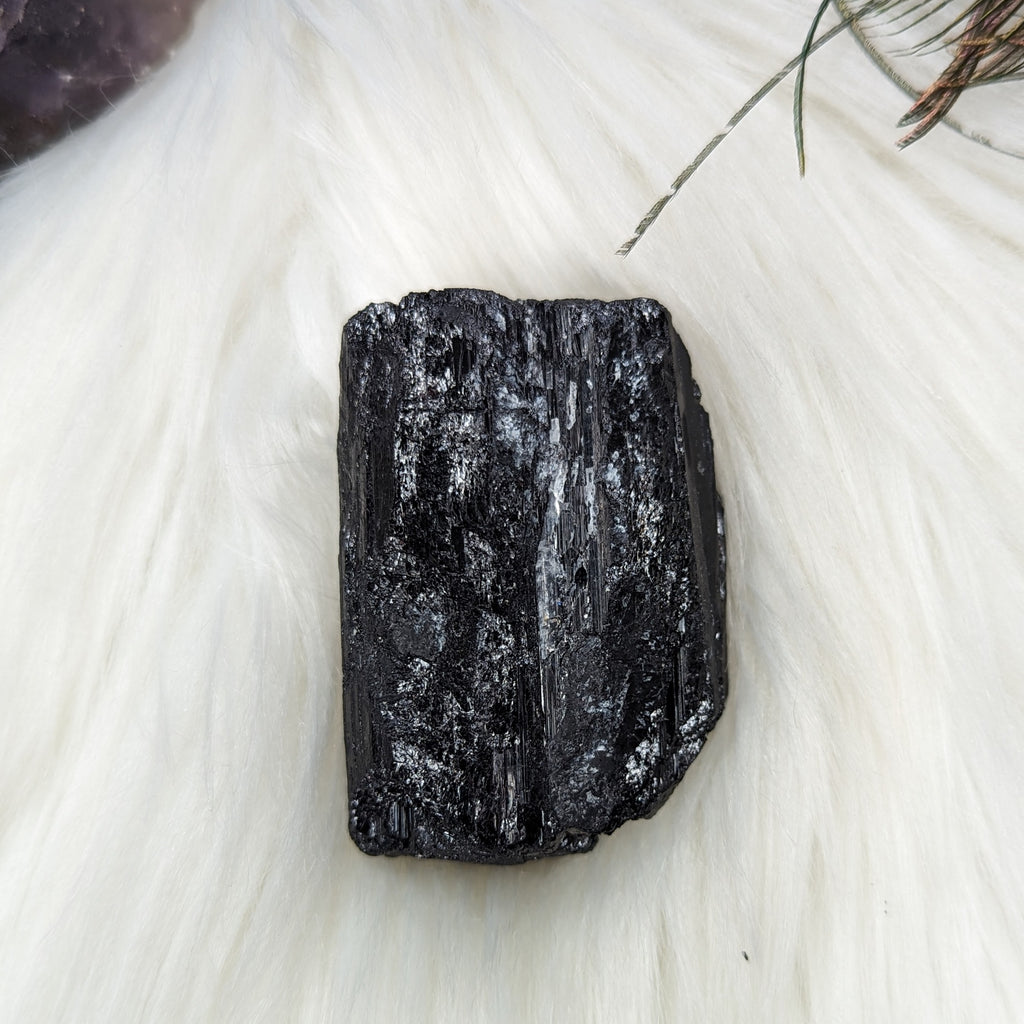 Black Tourmaline AA Gemmy Crystal Specimen - Earth Family Crystals